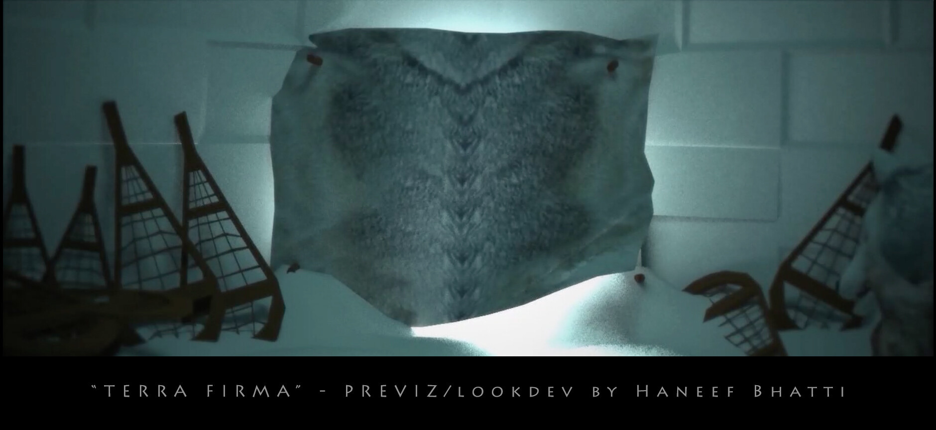 TERRA FIRMA PREVIZ FRAME