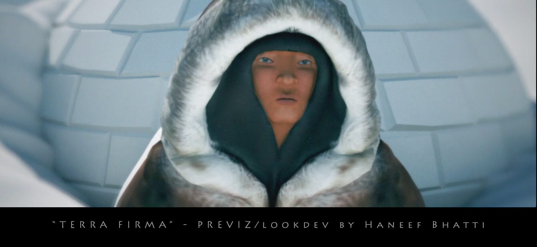 TERRA FIRMA PREVIZ FRAME
