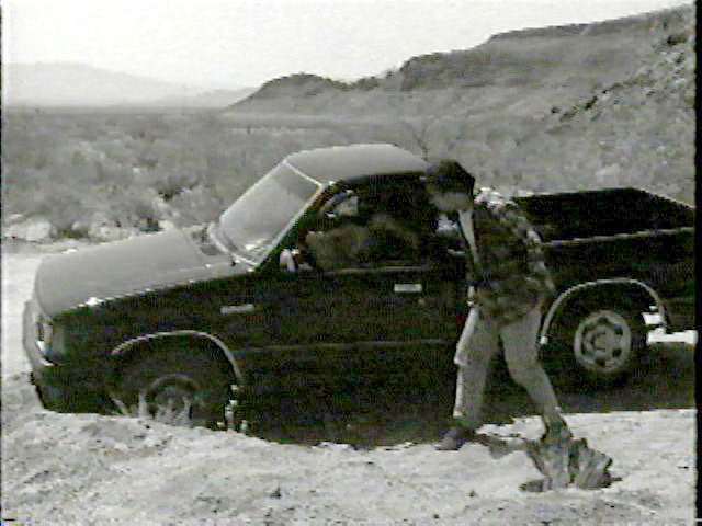 DESERT SNAKE