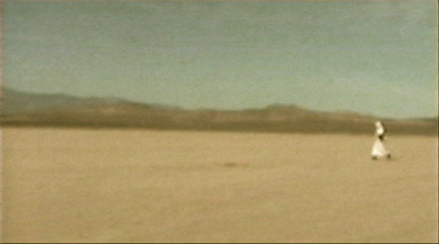 THE DESERT