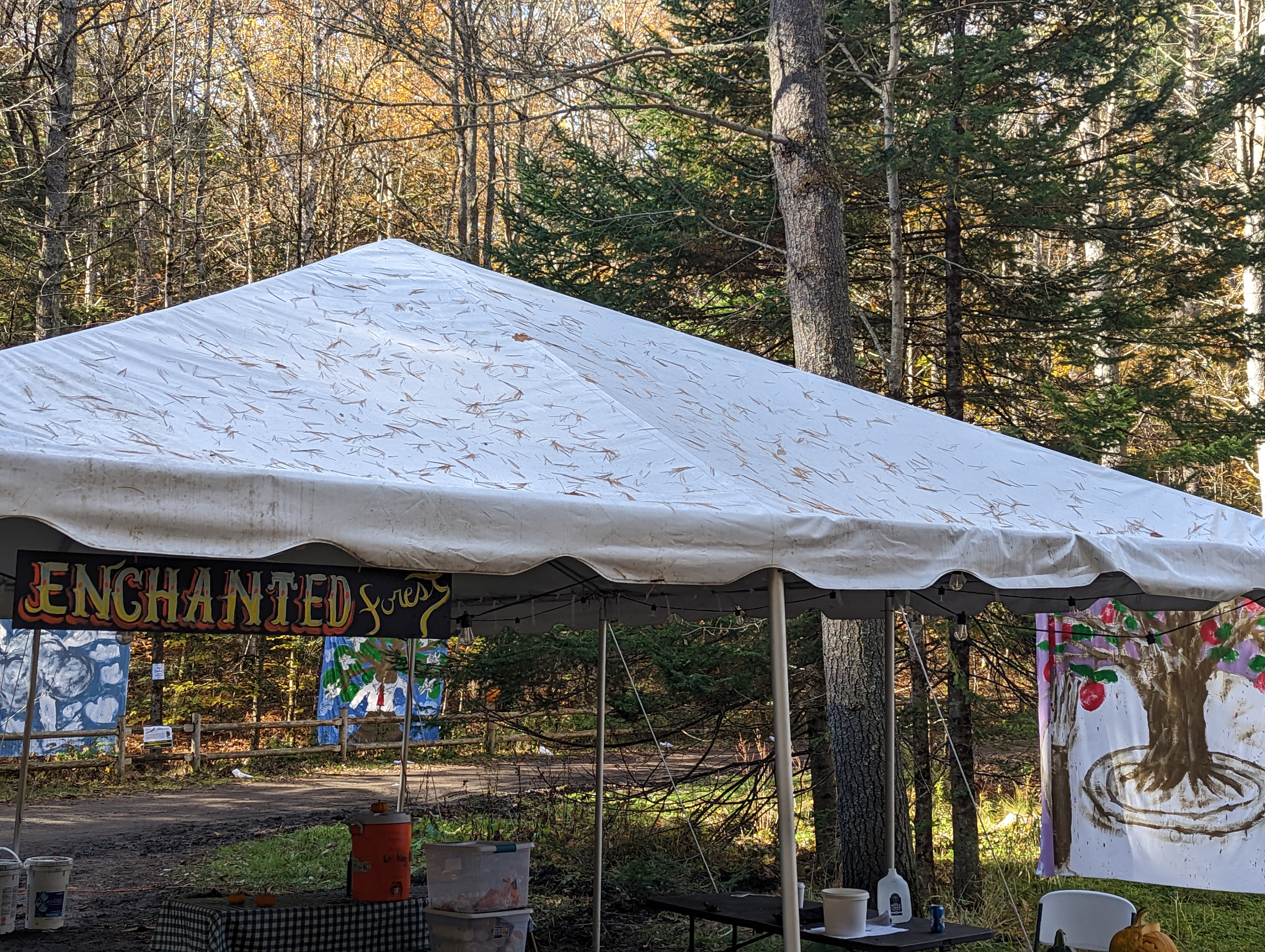 Montpelier Enchanted Forest '22