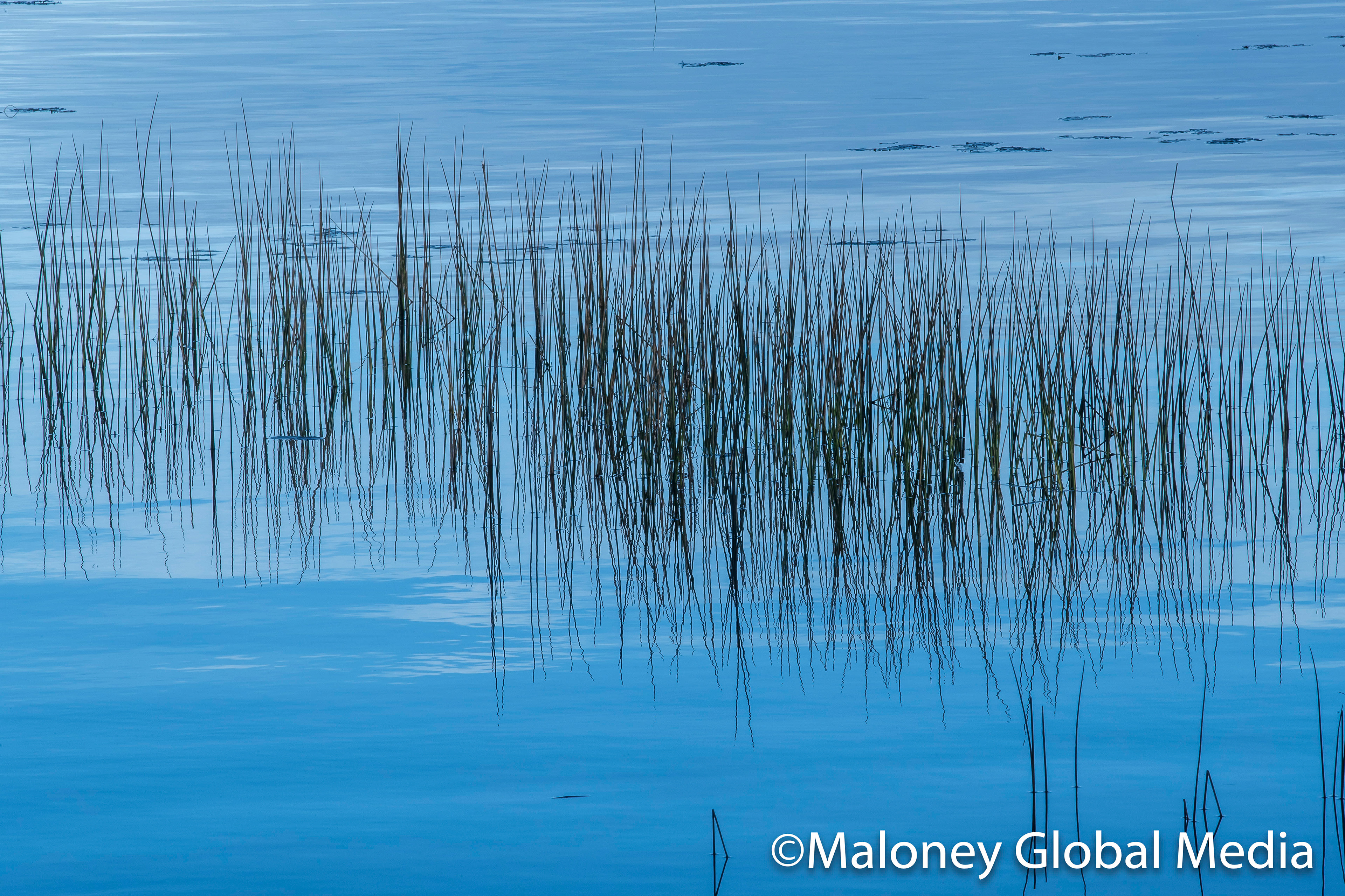 Lake Massabesic in blue, NH