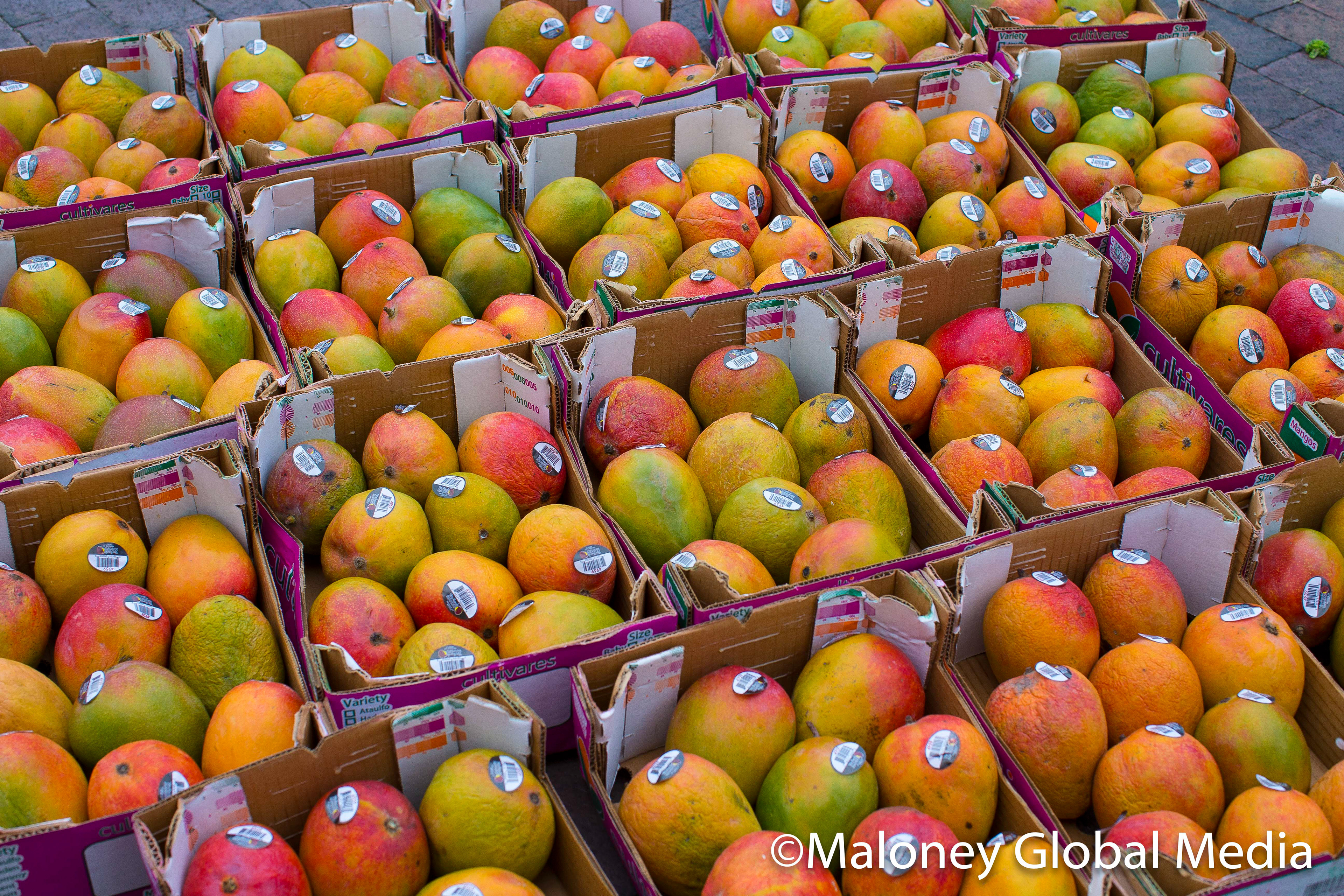 Haymarket Colors, Boston, Massachusetts