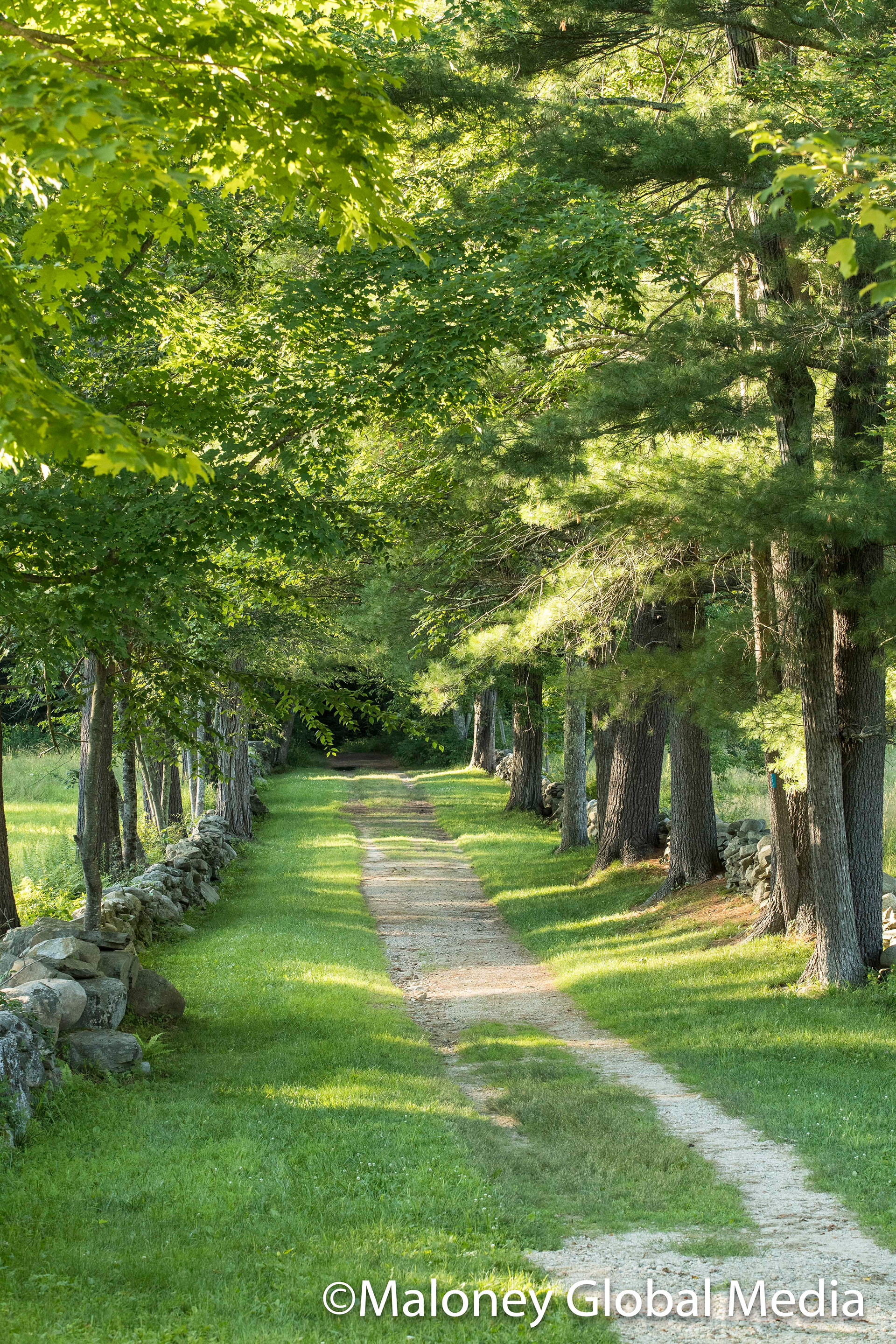 A long walk, Hollis, NH