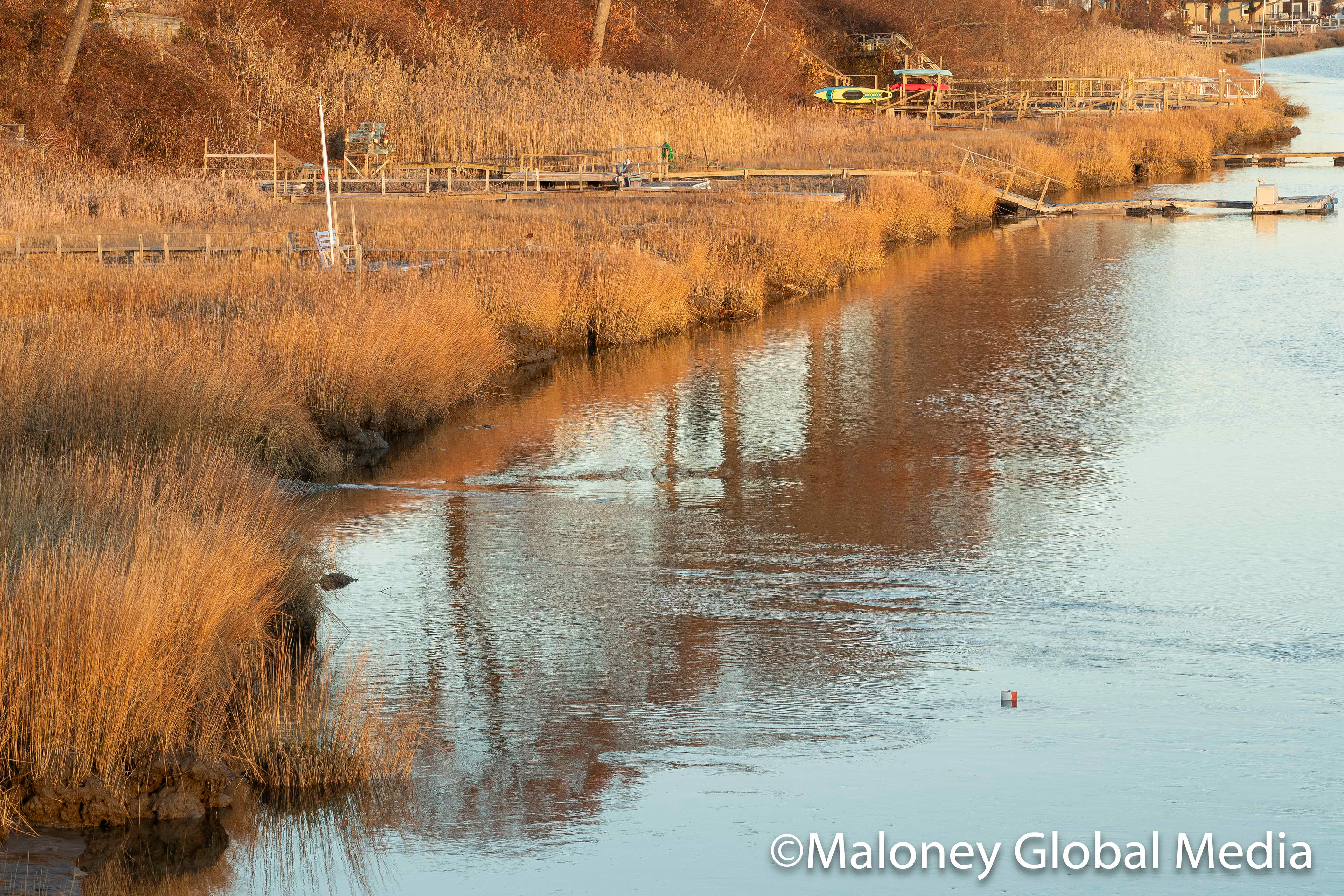 Salisbury Shoreline, Massachusetts