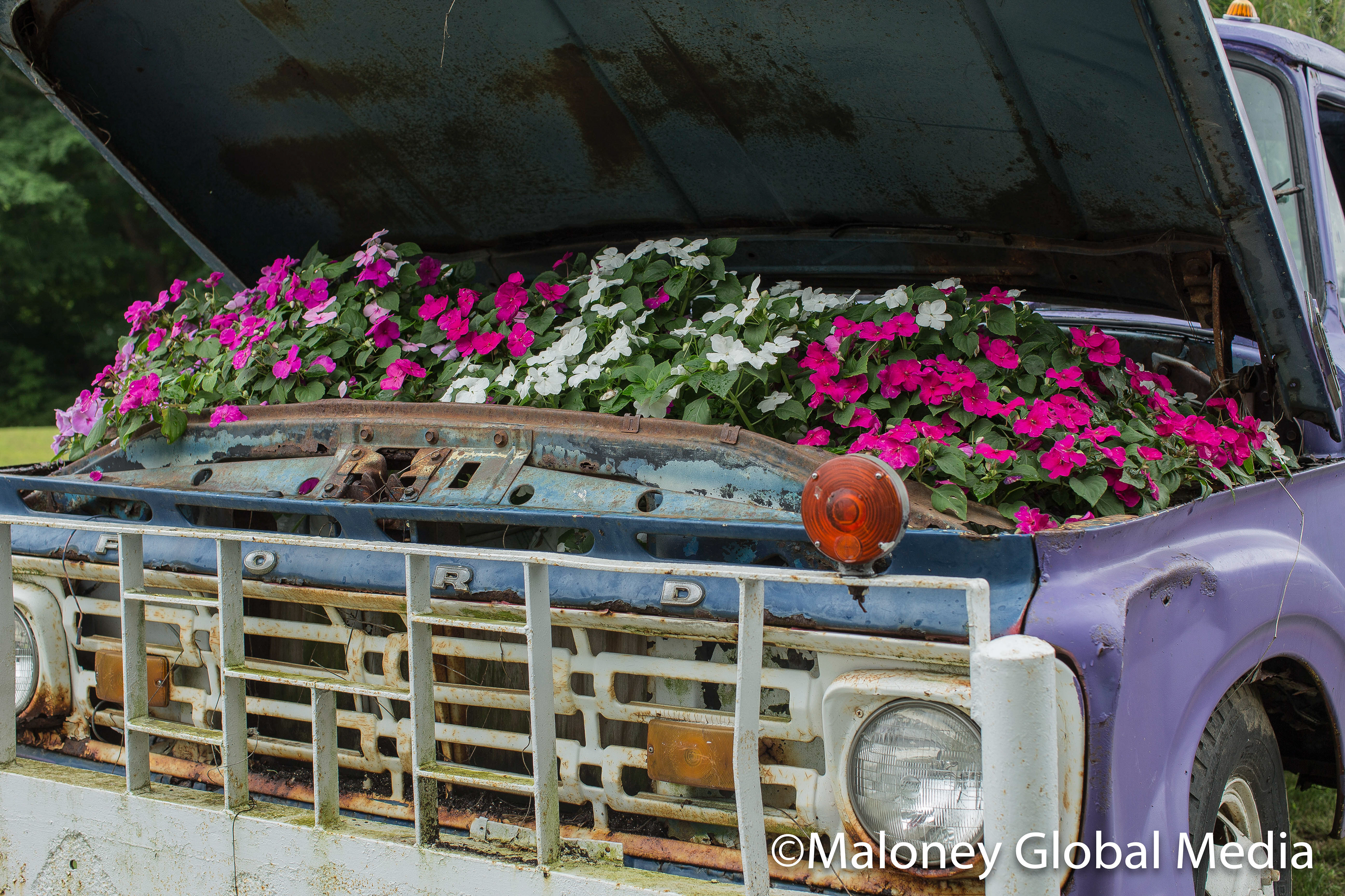 Truck full of Flowers, Nyack, CT