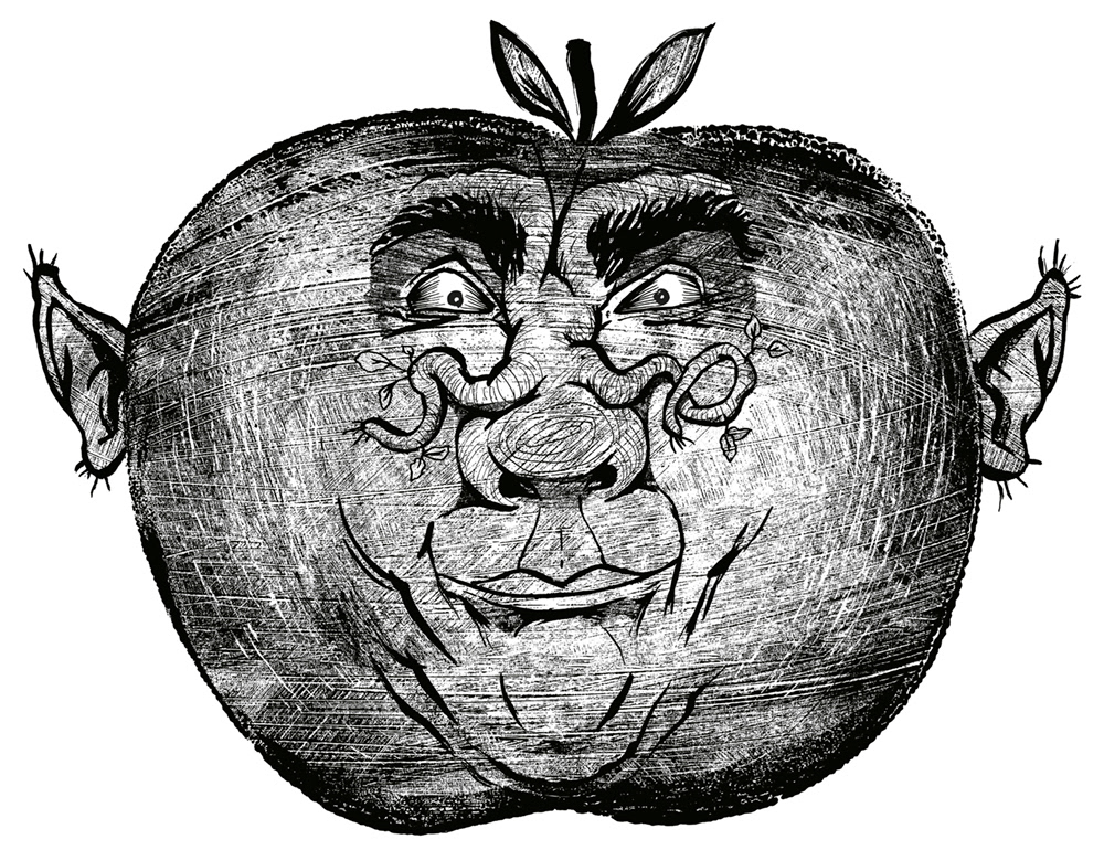 Apple Elf character concept design for the Faerie Wood roleplaying game