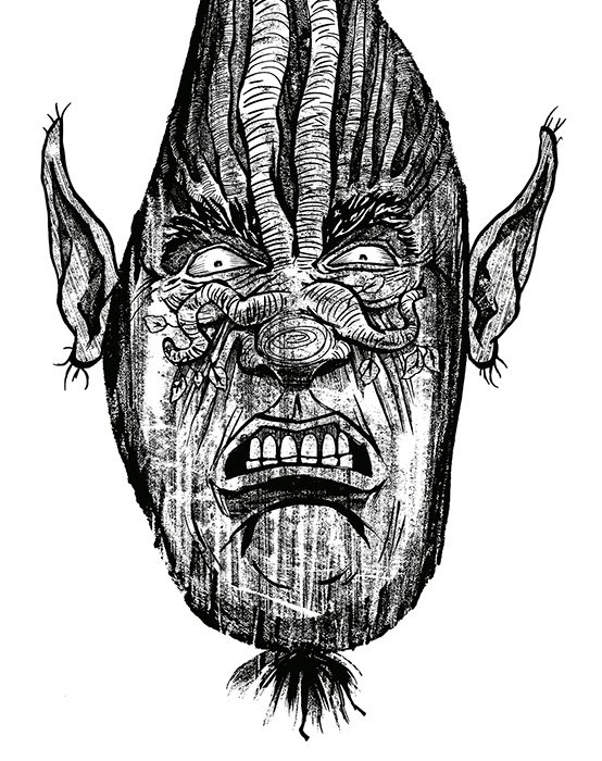 Detail of a spring onion Elf character concept design for the Faerie Wood roleplaying game