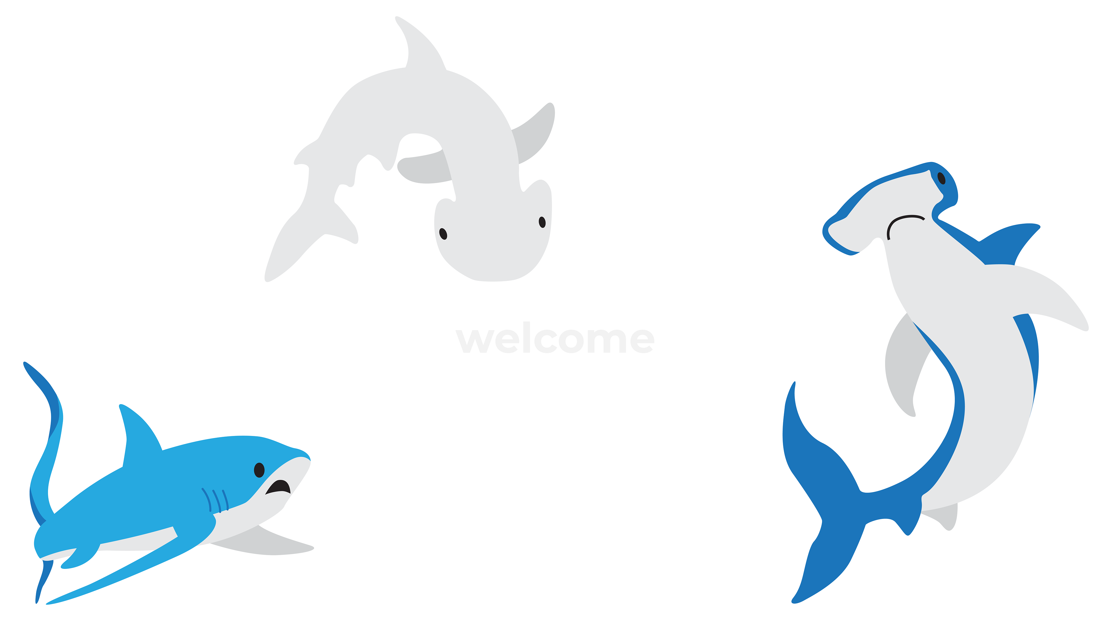 the word "welcome" surrounded by three vector drawn sharks. the top one is a gray bonnet head, the left is a blue and gray thresher, and the right is a blue and gray hammerhead.