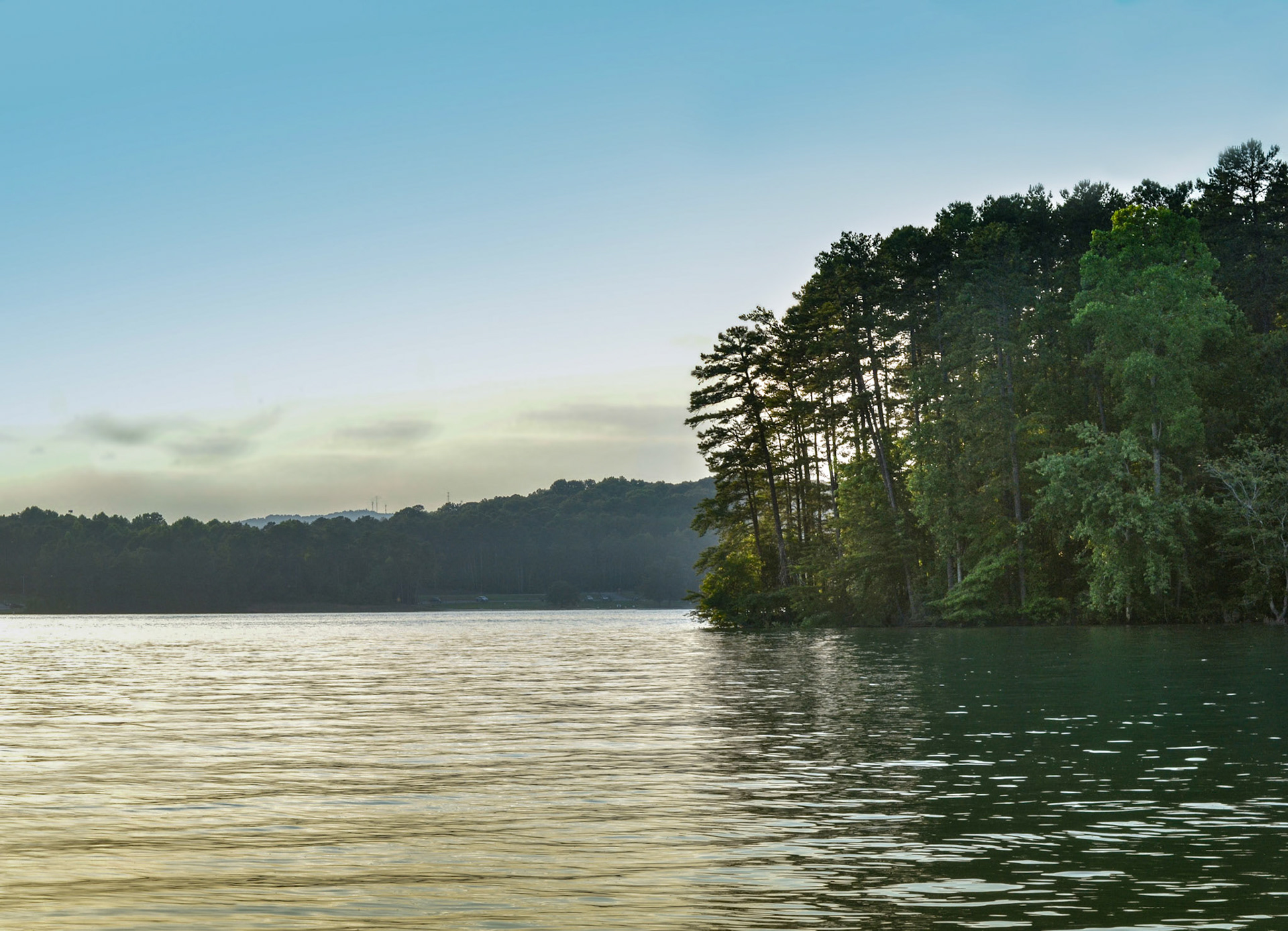 Small island on Lake Lanier