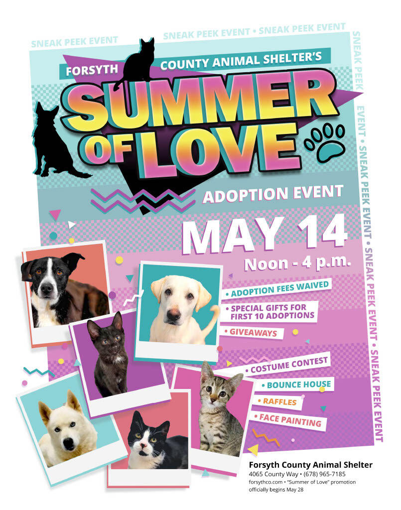 Theme and flyer for animal shelter adoption promotion