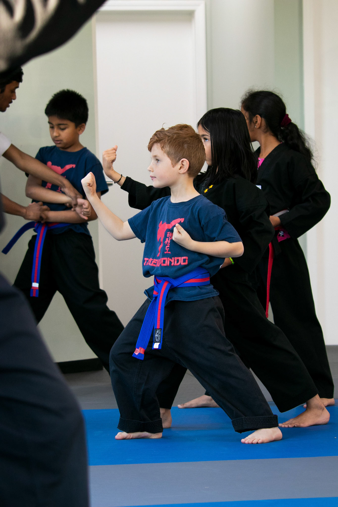 Taekwondo form practice