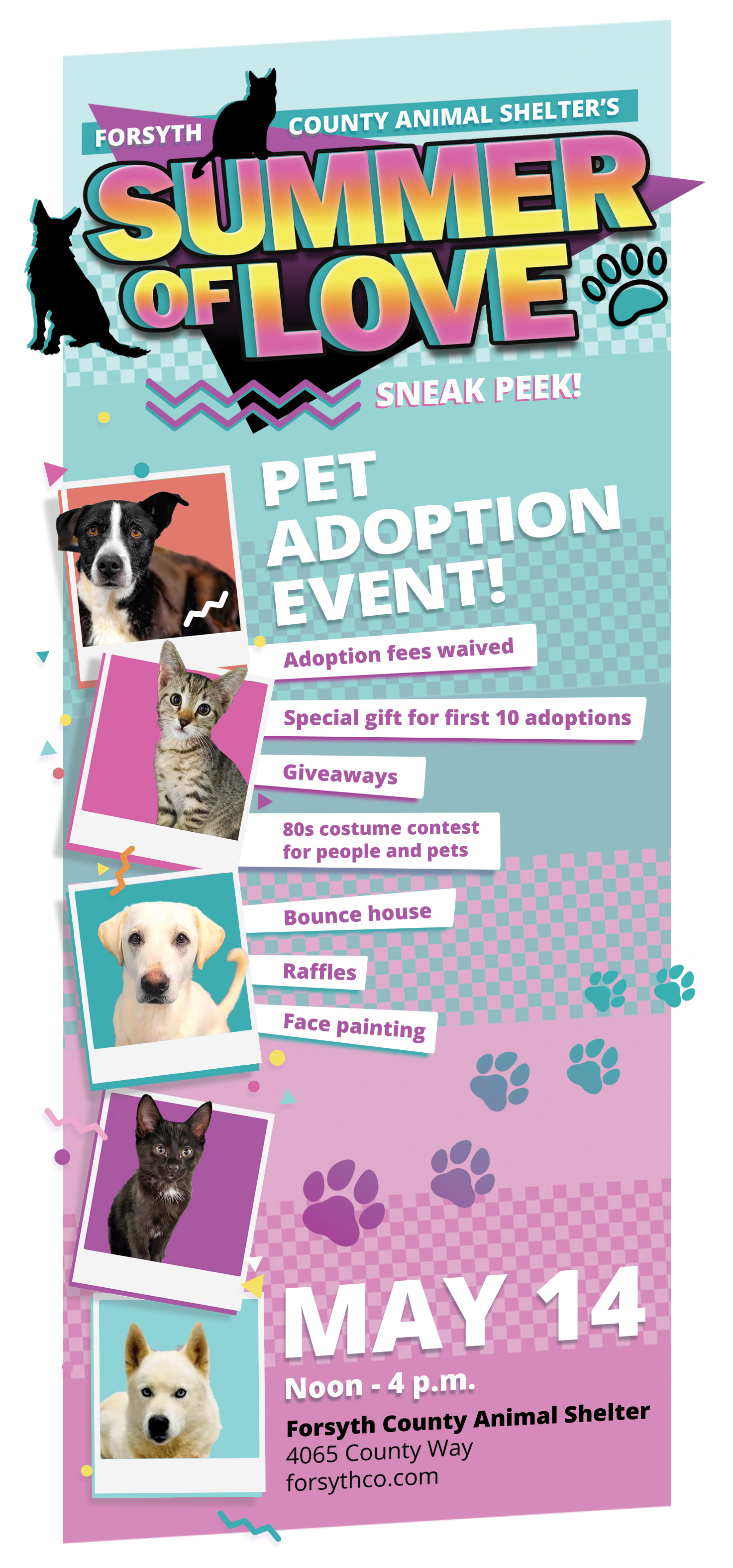 80's themed "Summer of Love" campaign to promote adoptions at county's Animal Shelter