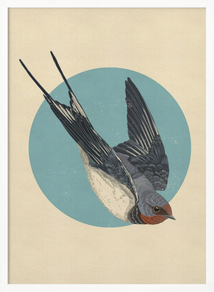 Swallows