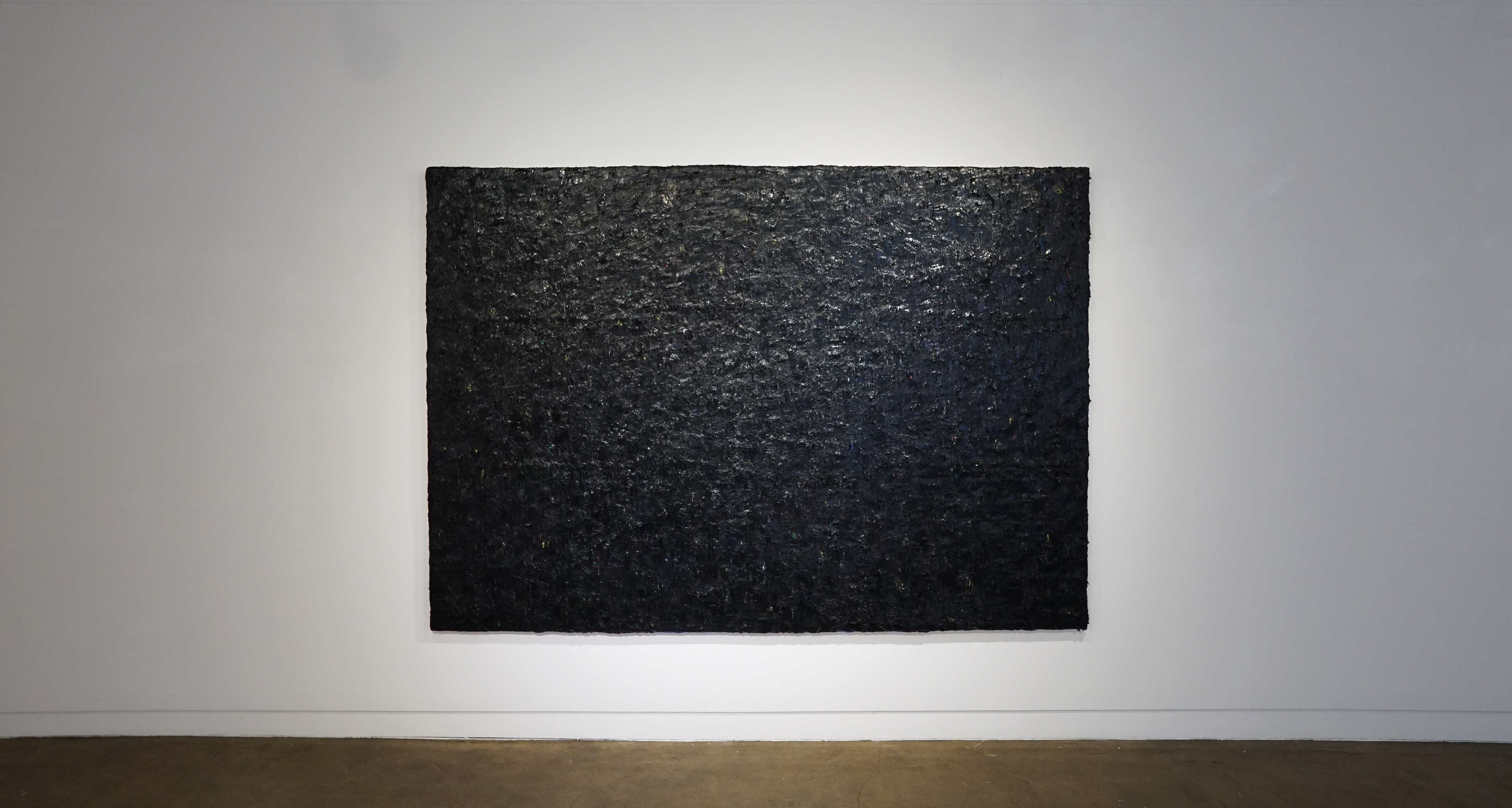 GRAVITY(Space), 2023, Silicone and pigments on canvas, 130.0cmx230.0cm