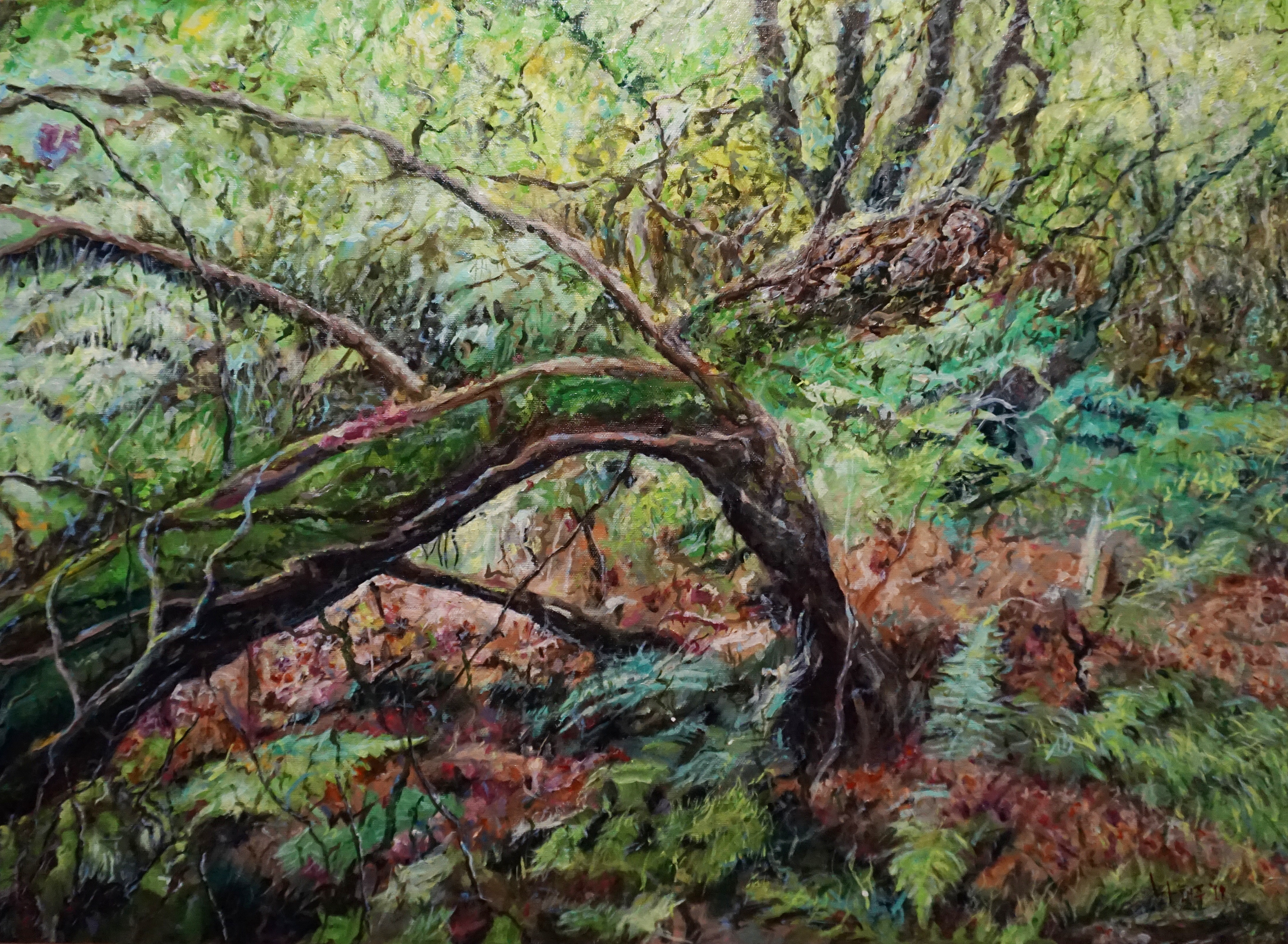 Conflict, 2019, Oil on canvas, 72.2cm x 53.0cm