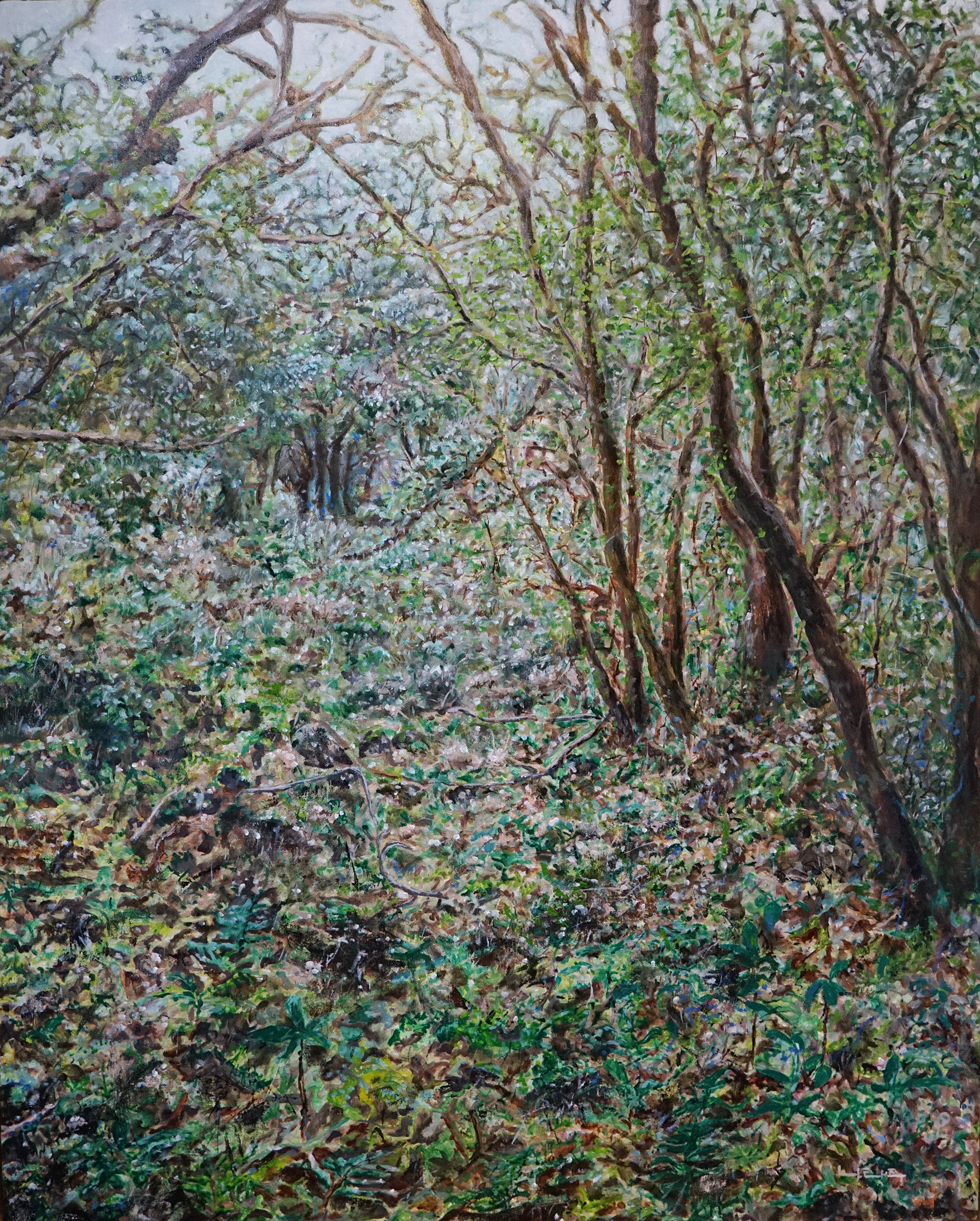 Conflict, 2020, Oil on canvas, 80.3cm x 100.0cm