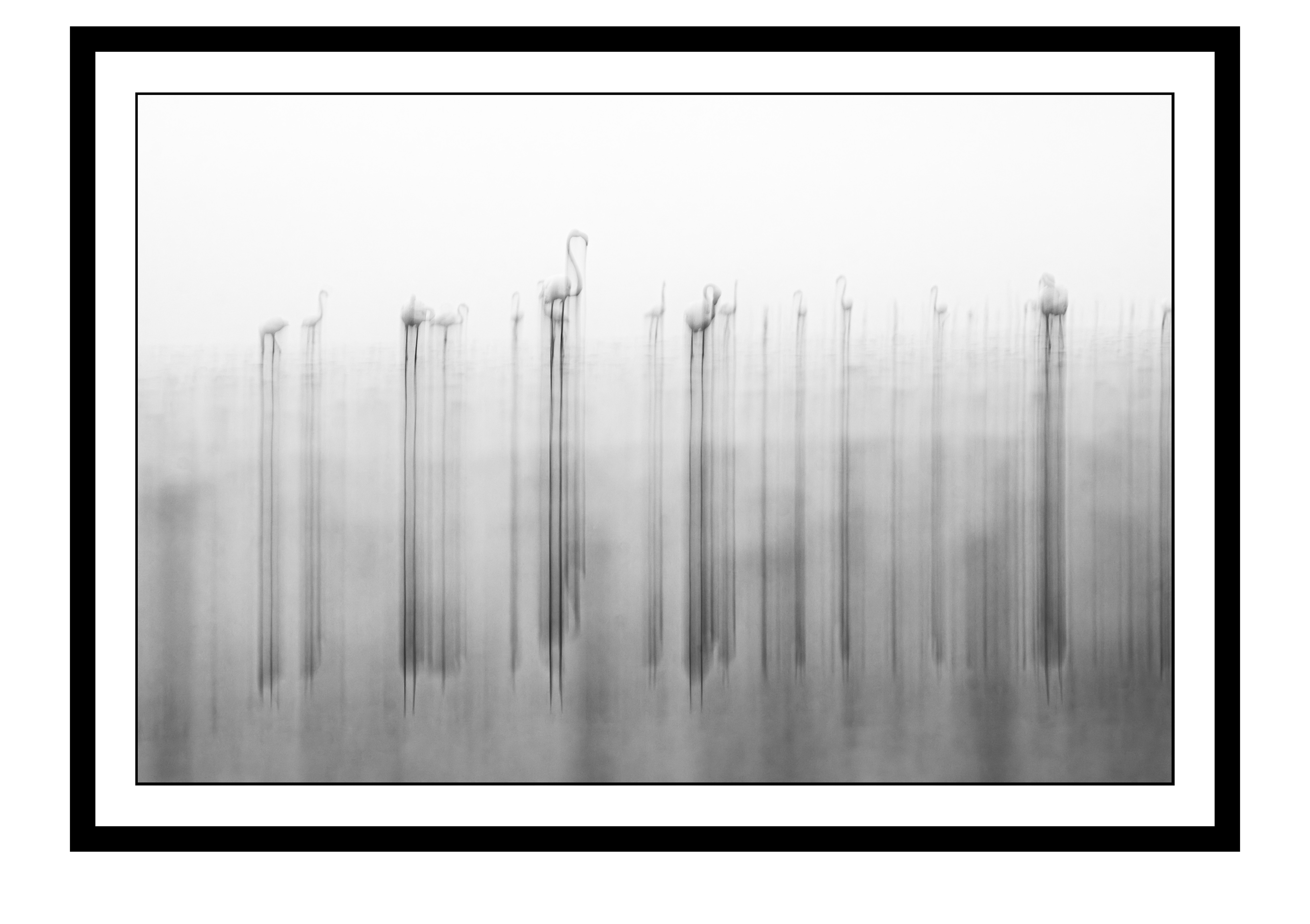 The Standing Blur