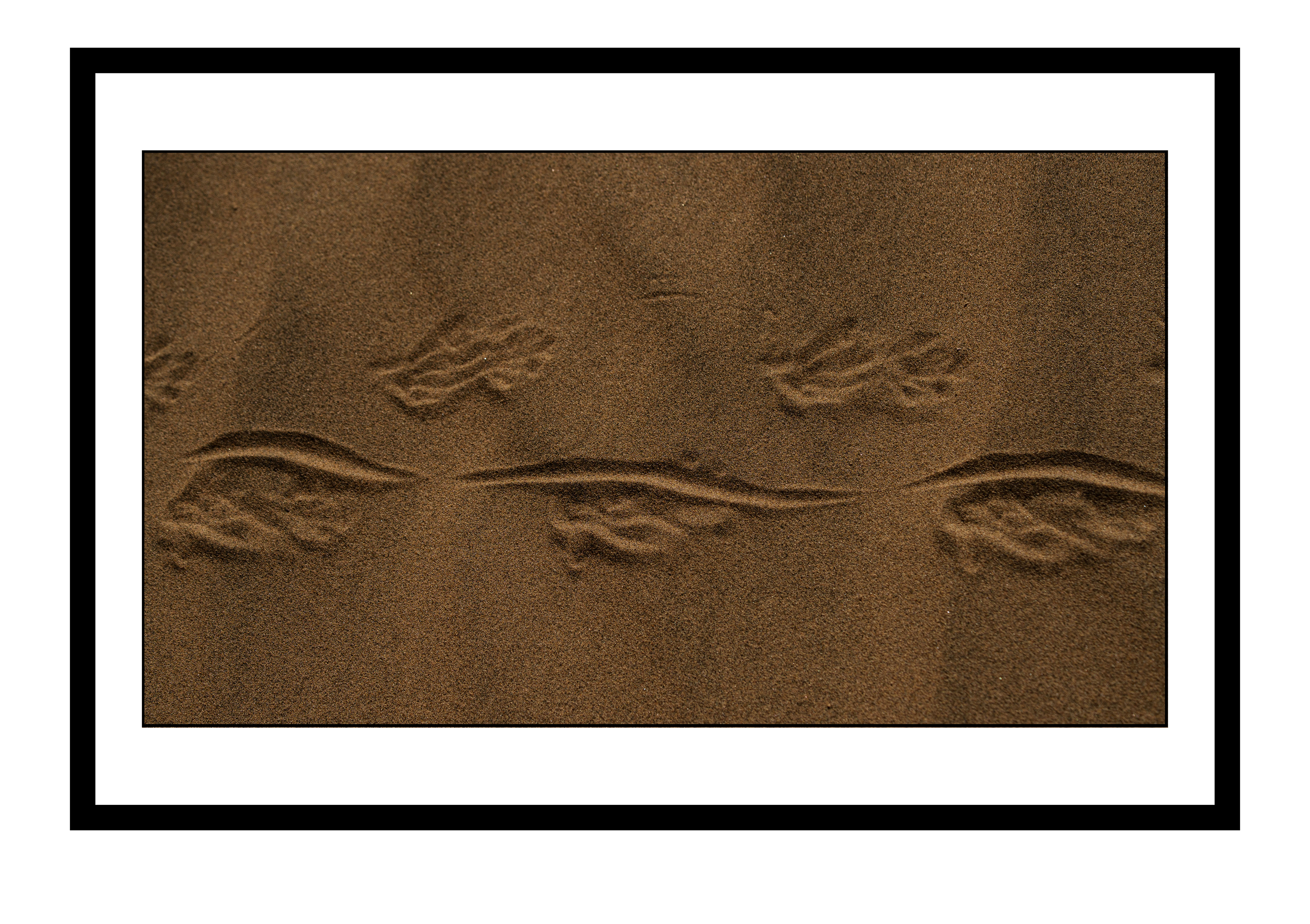 Sand Script