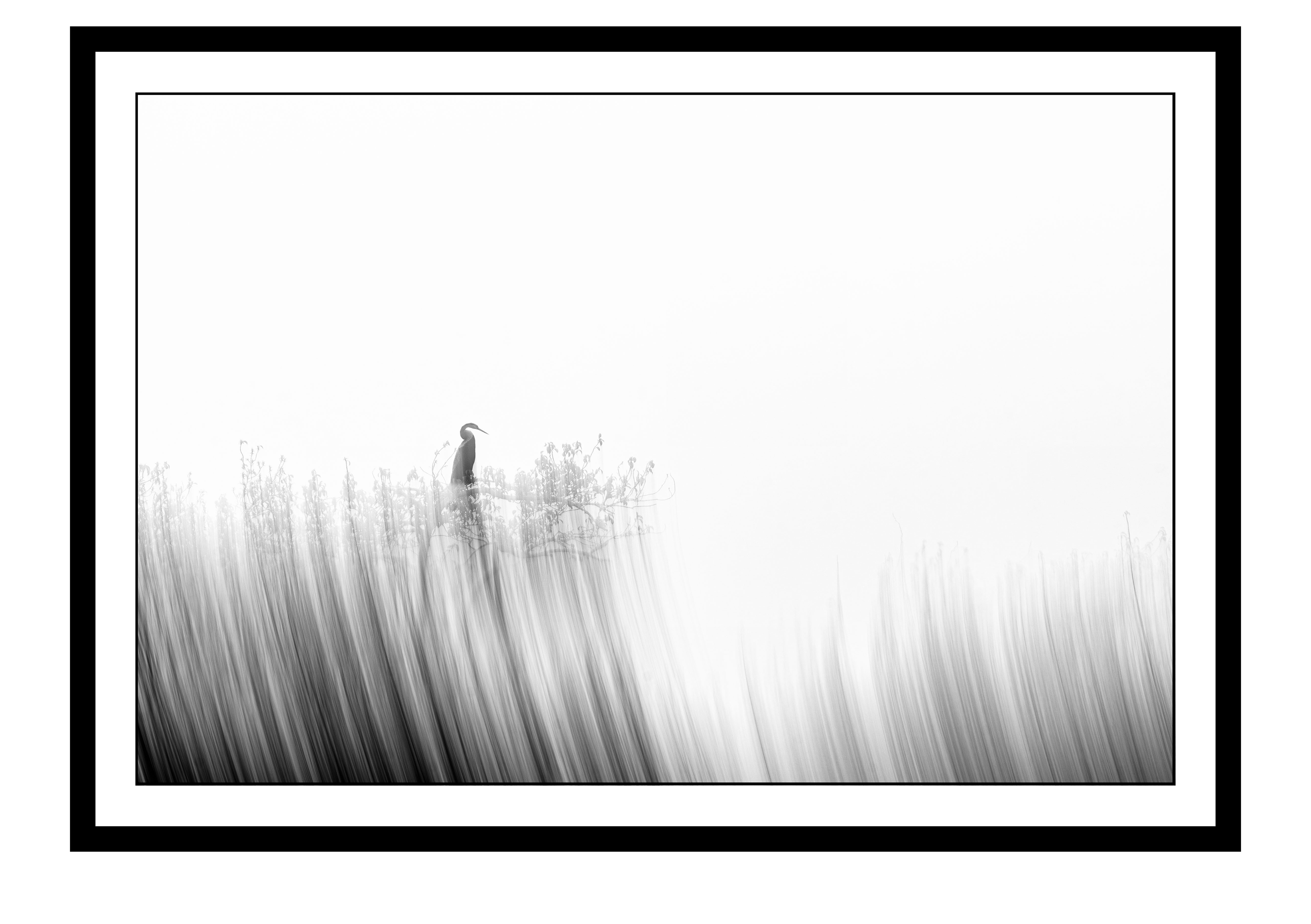 Flux