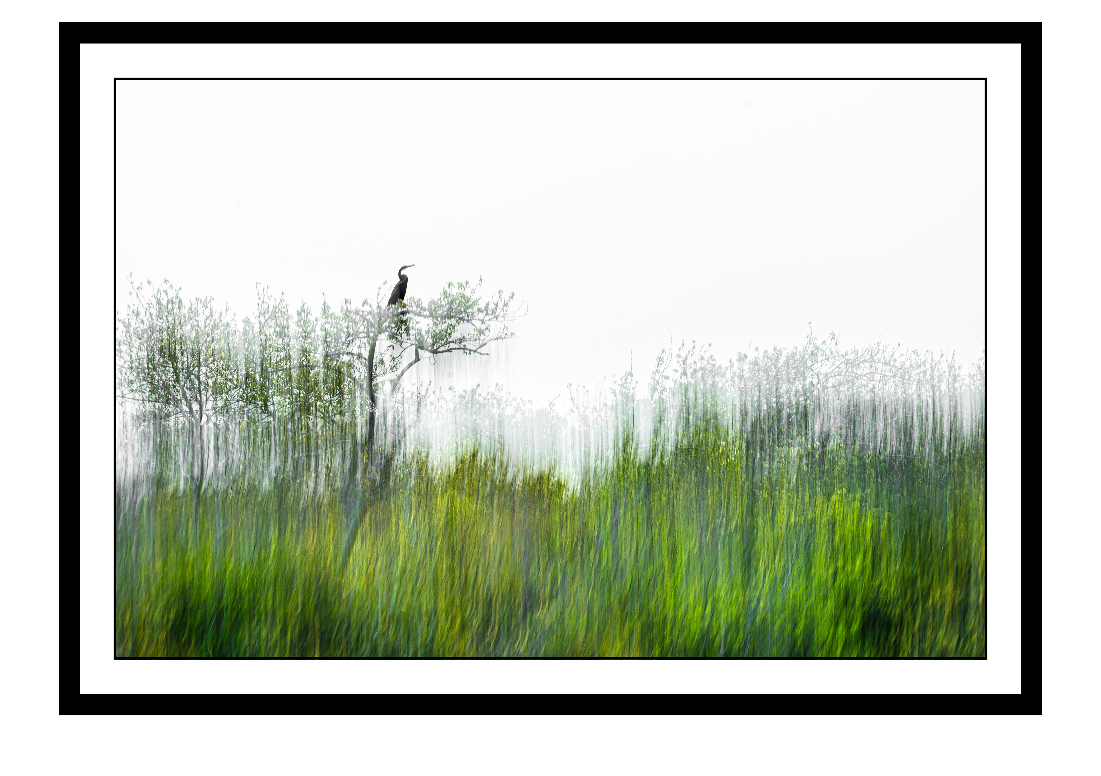 Veiled in Green