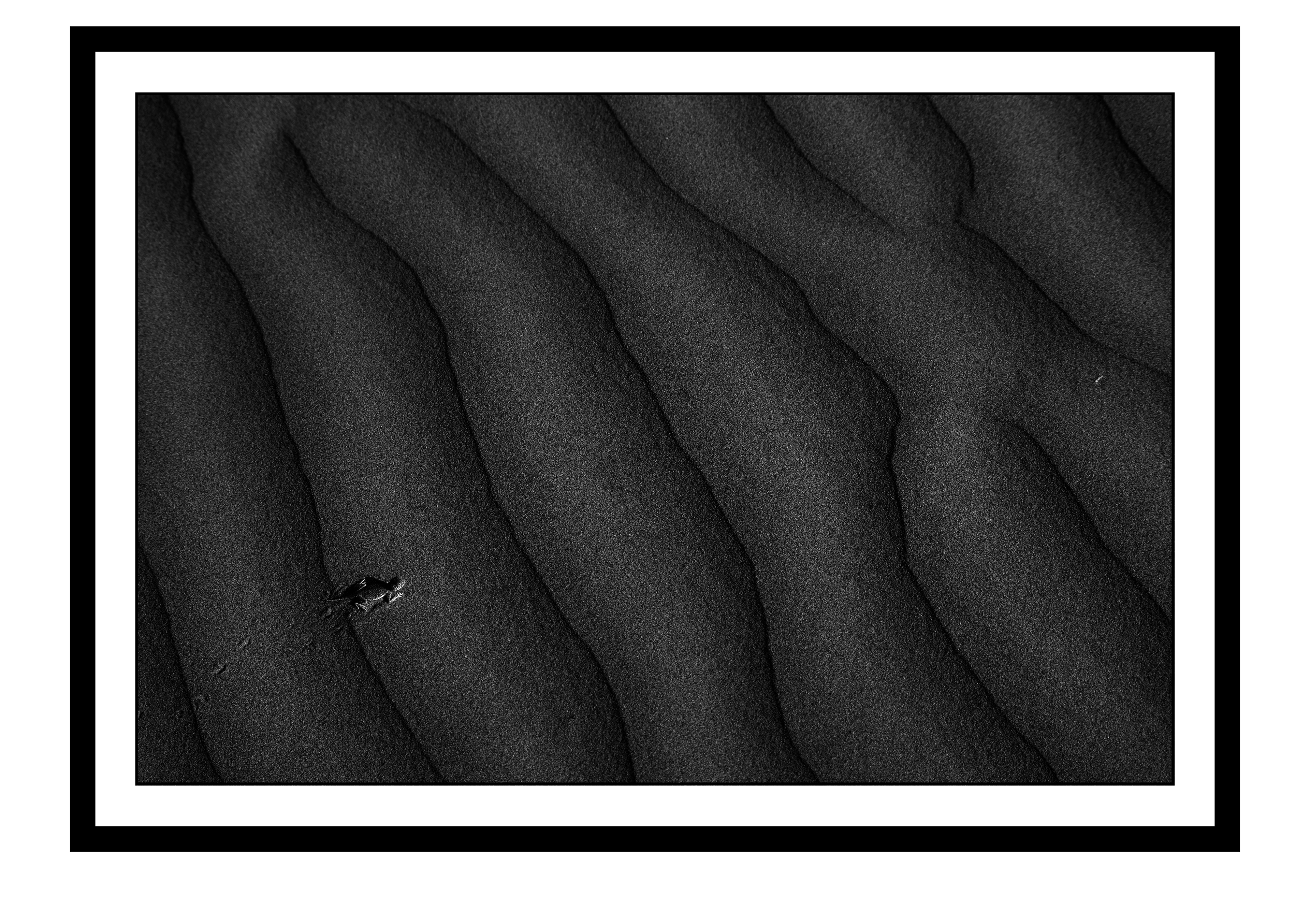 Dune