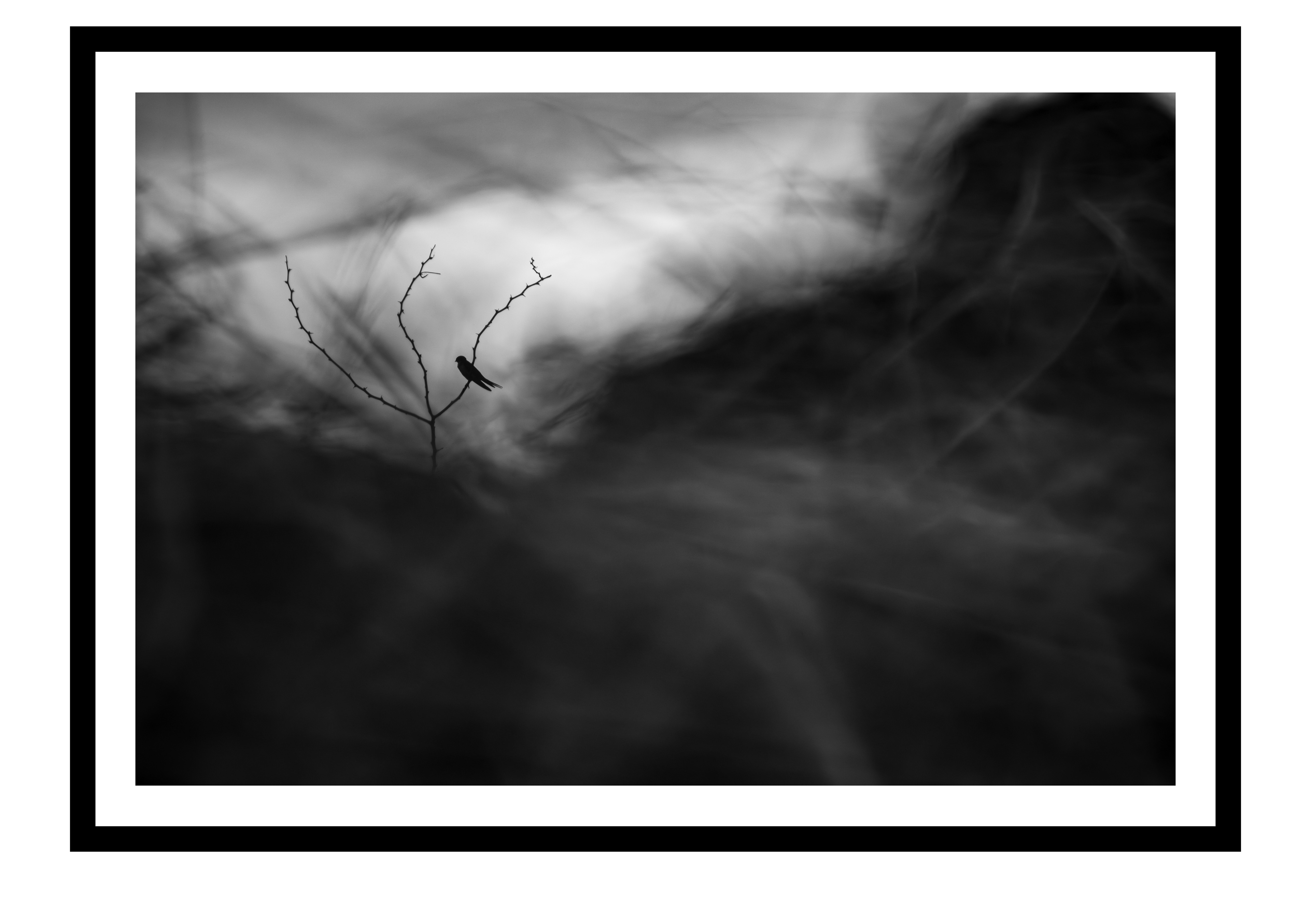 A Dance with Texture