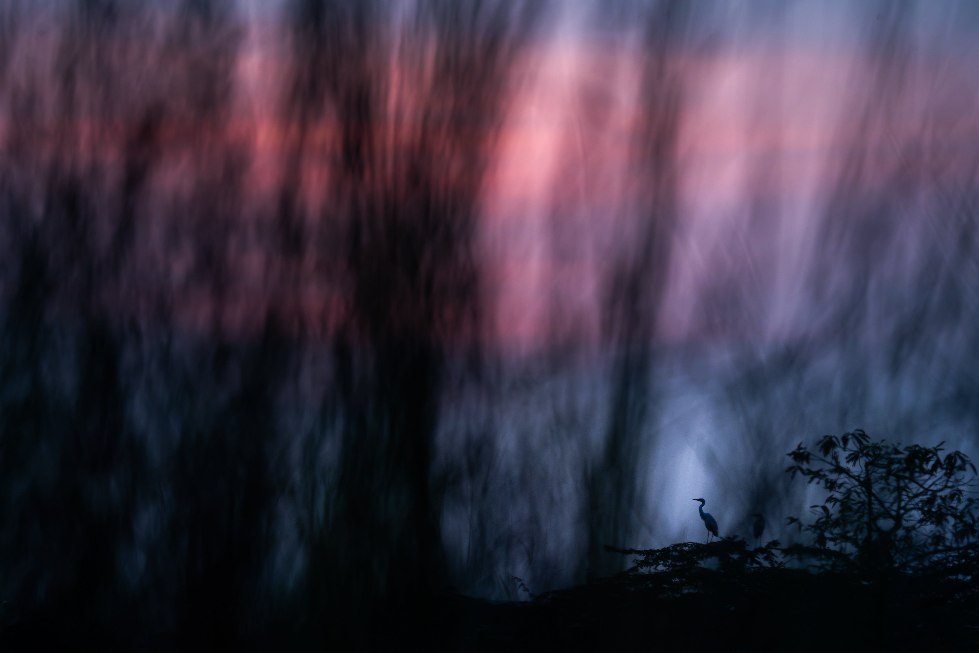 Colour Palette-Wilder, Visual Poetries