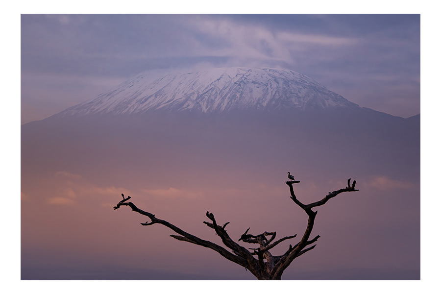 Mt Kilimanjaro