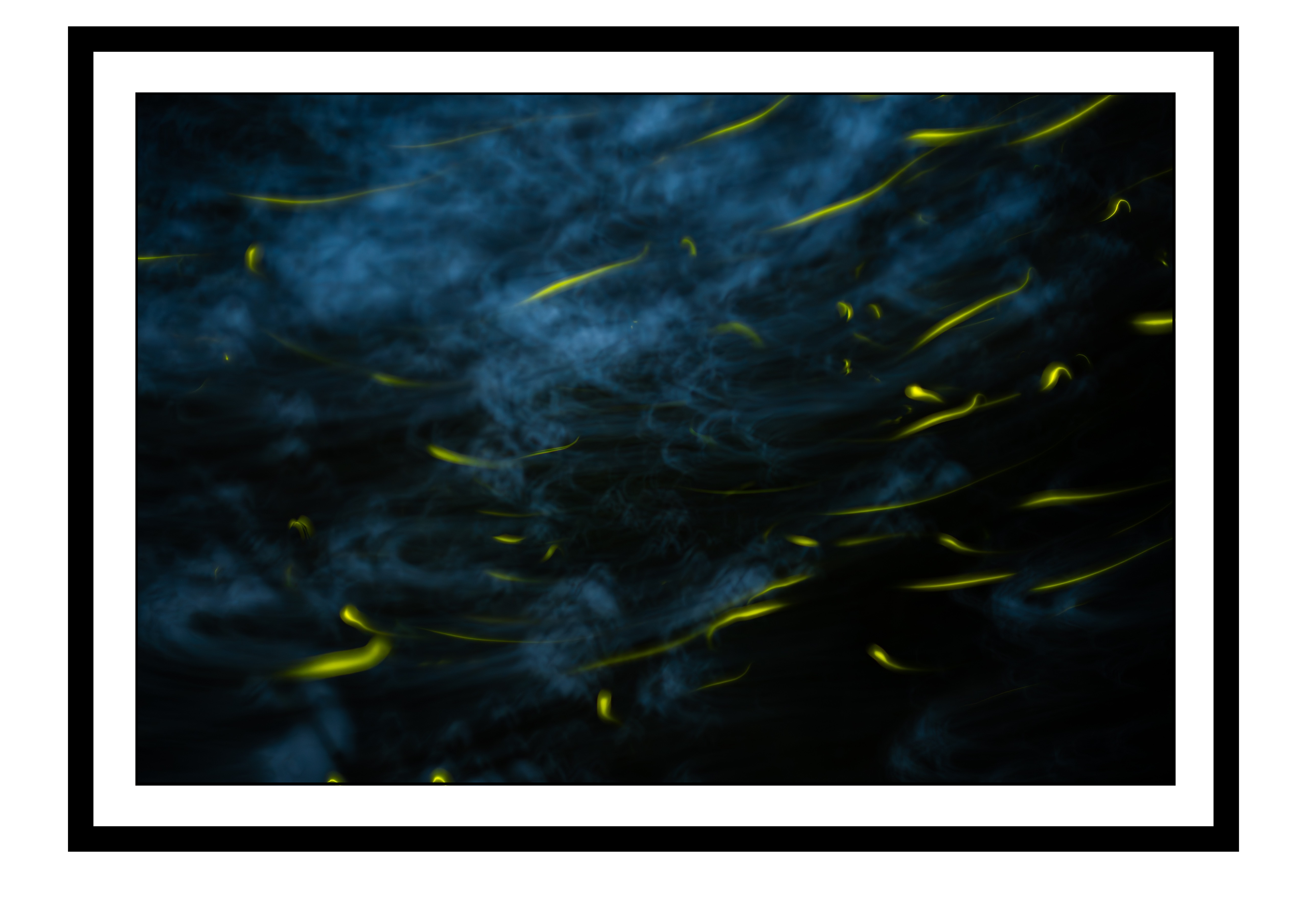 Painting with Fireflies