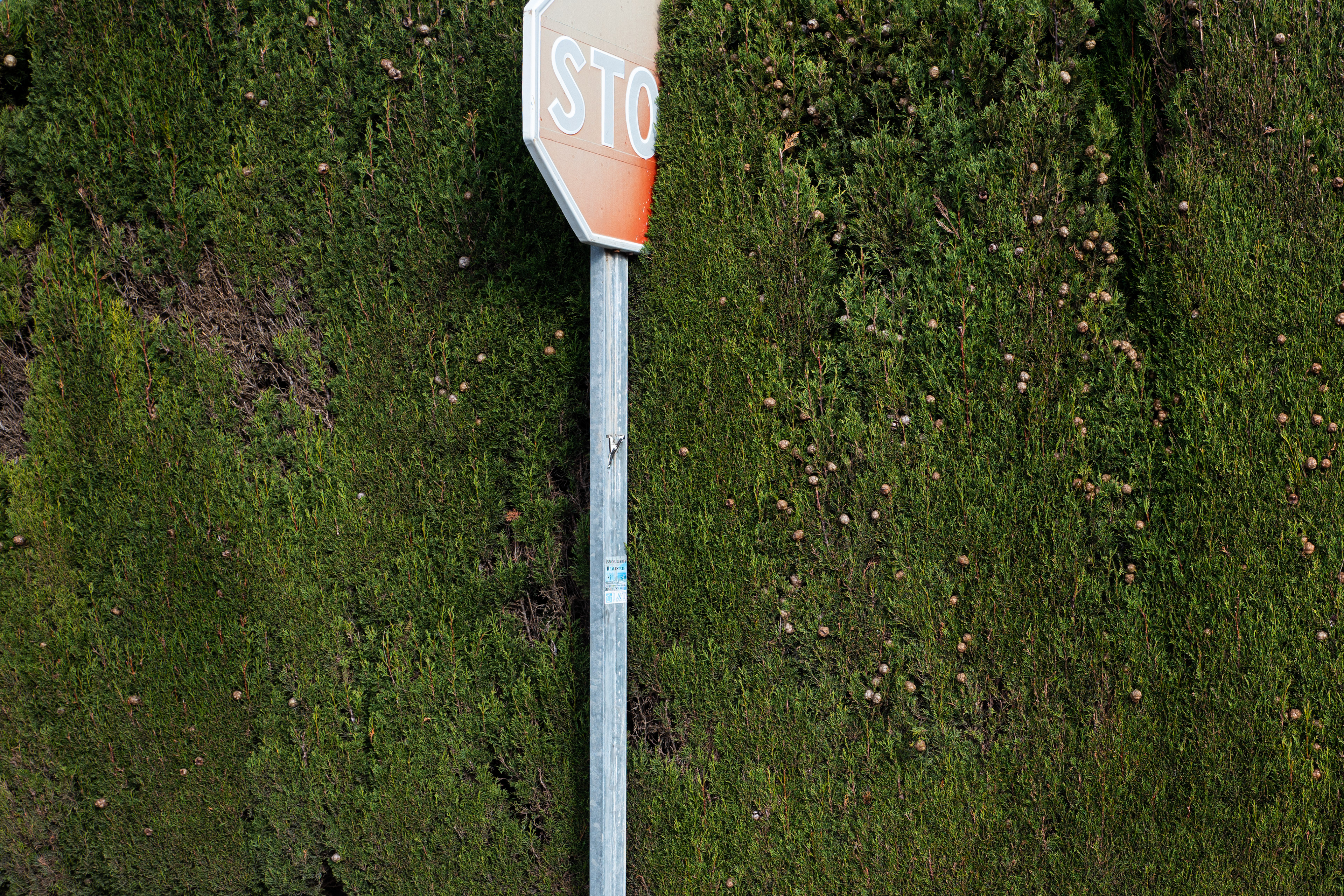JÁVEA 23