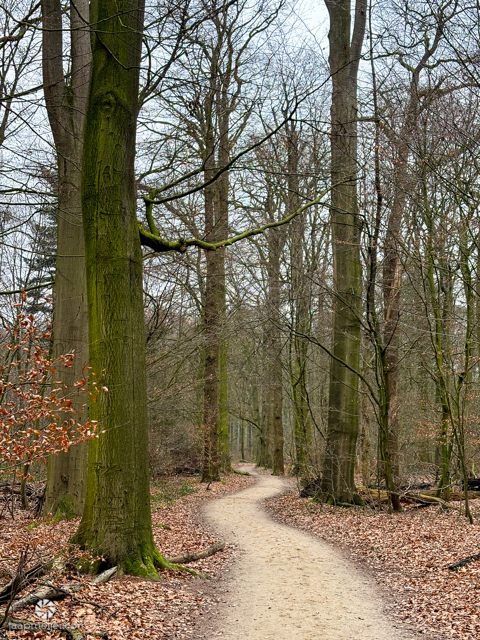 In de winter altijd rustig