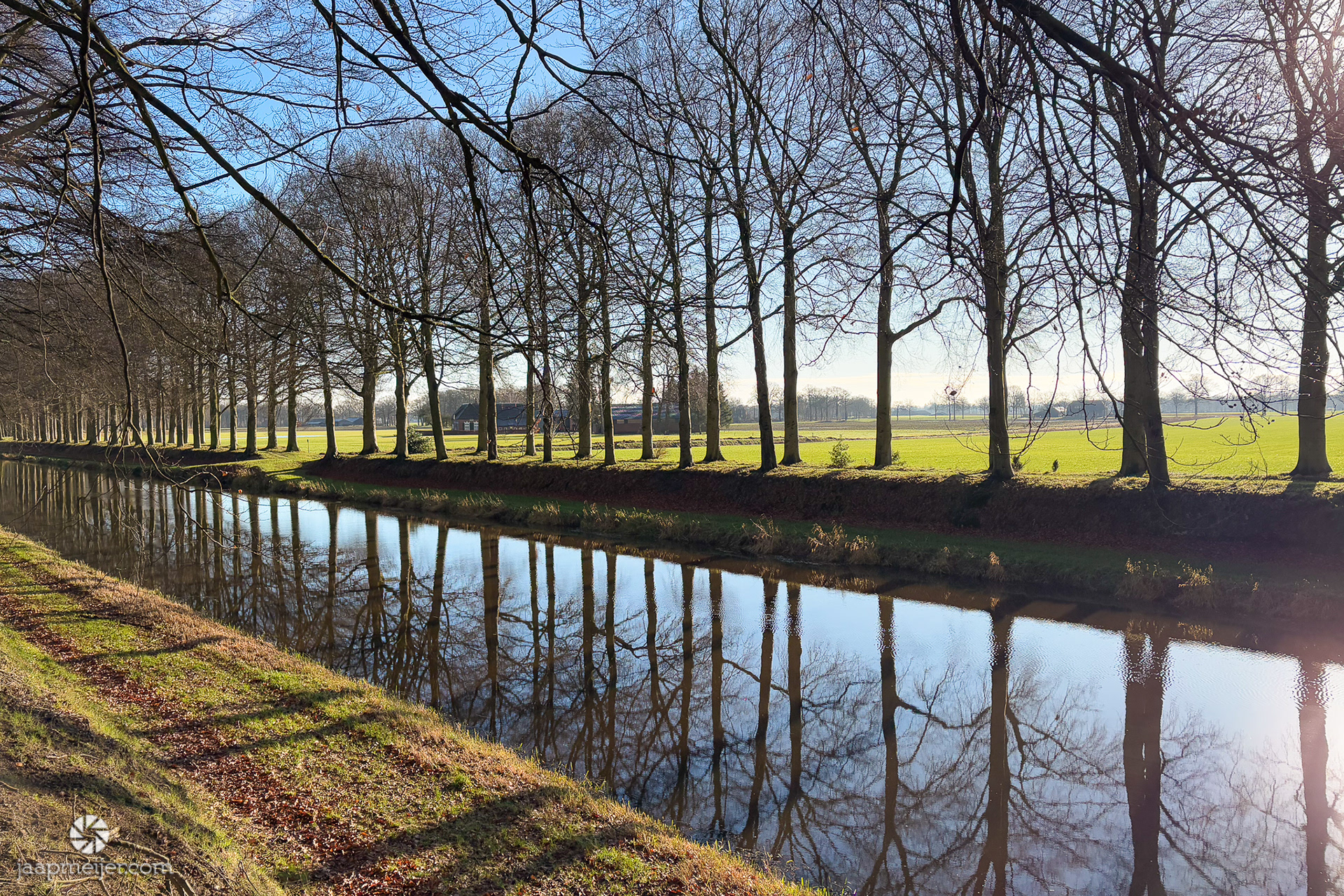 Kanaal met mooie bomenrij
