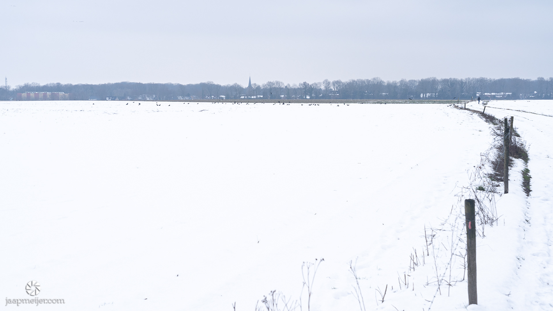 Achter een maagdelijk wit akkerland doemt Zuidlaren op.