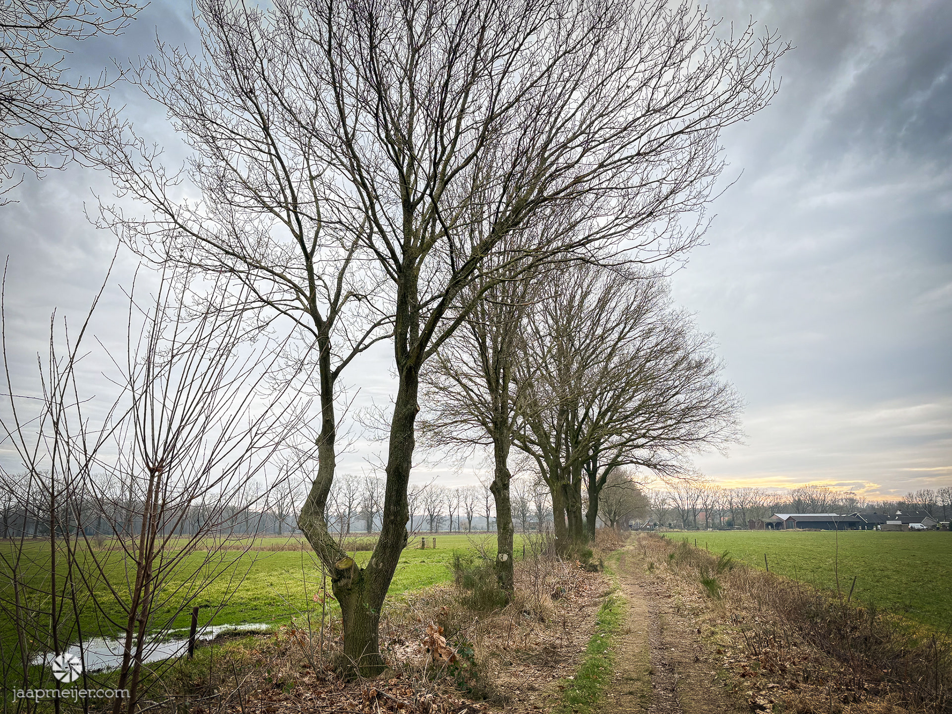 Dit zijn de mooie paadjes