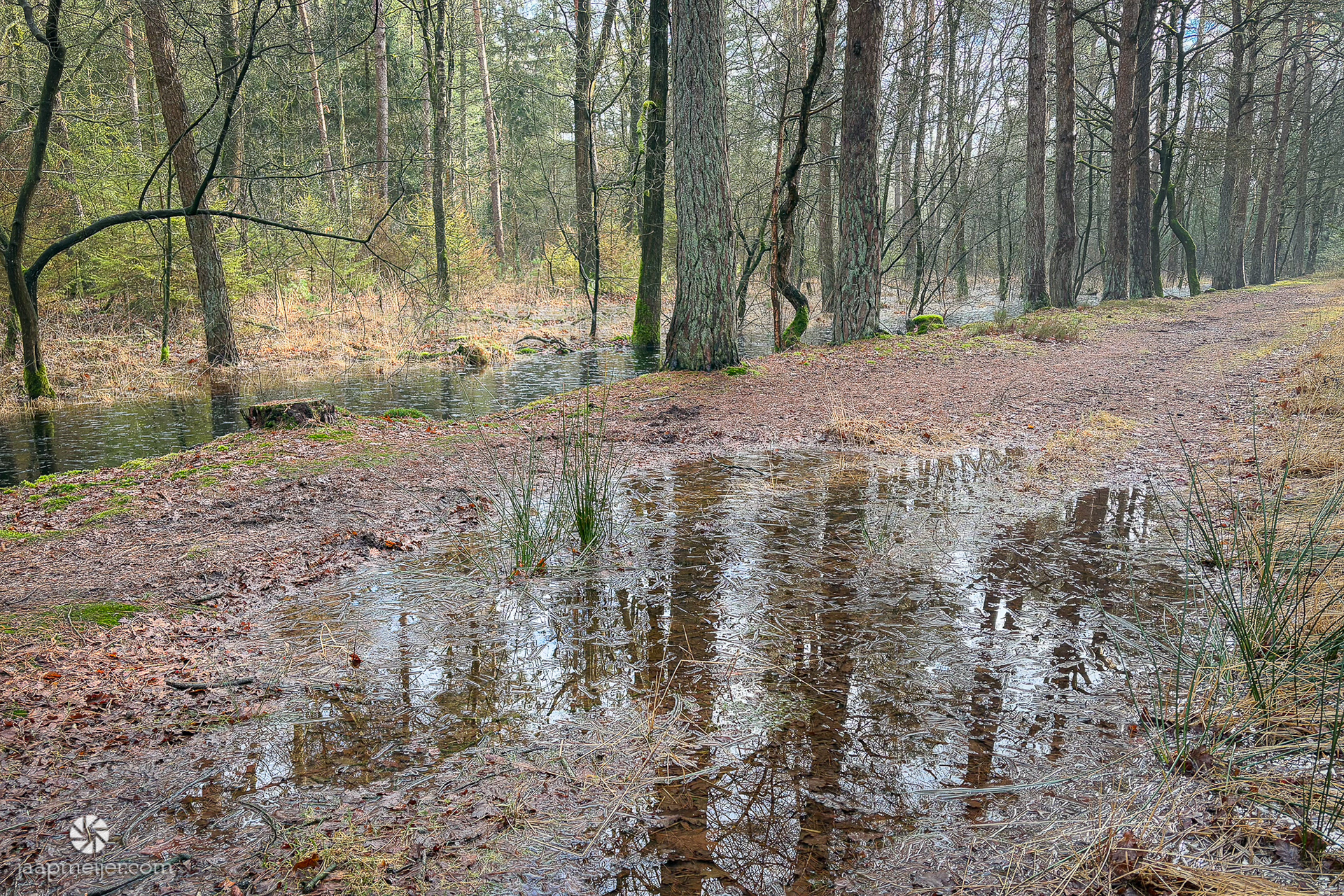 Wat een natte boel!