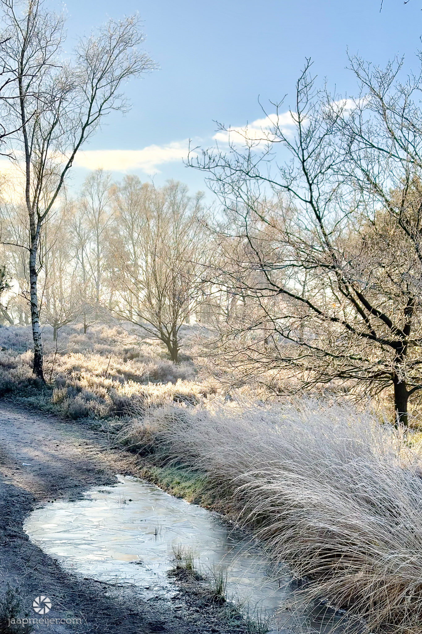 Vorst, maar heerlijk vanwege de zon