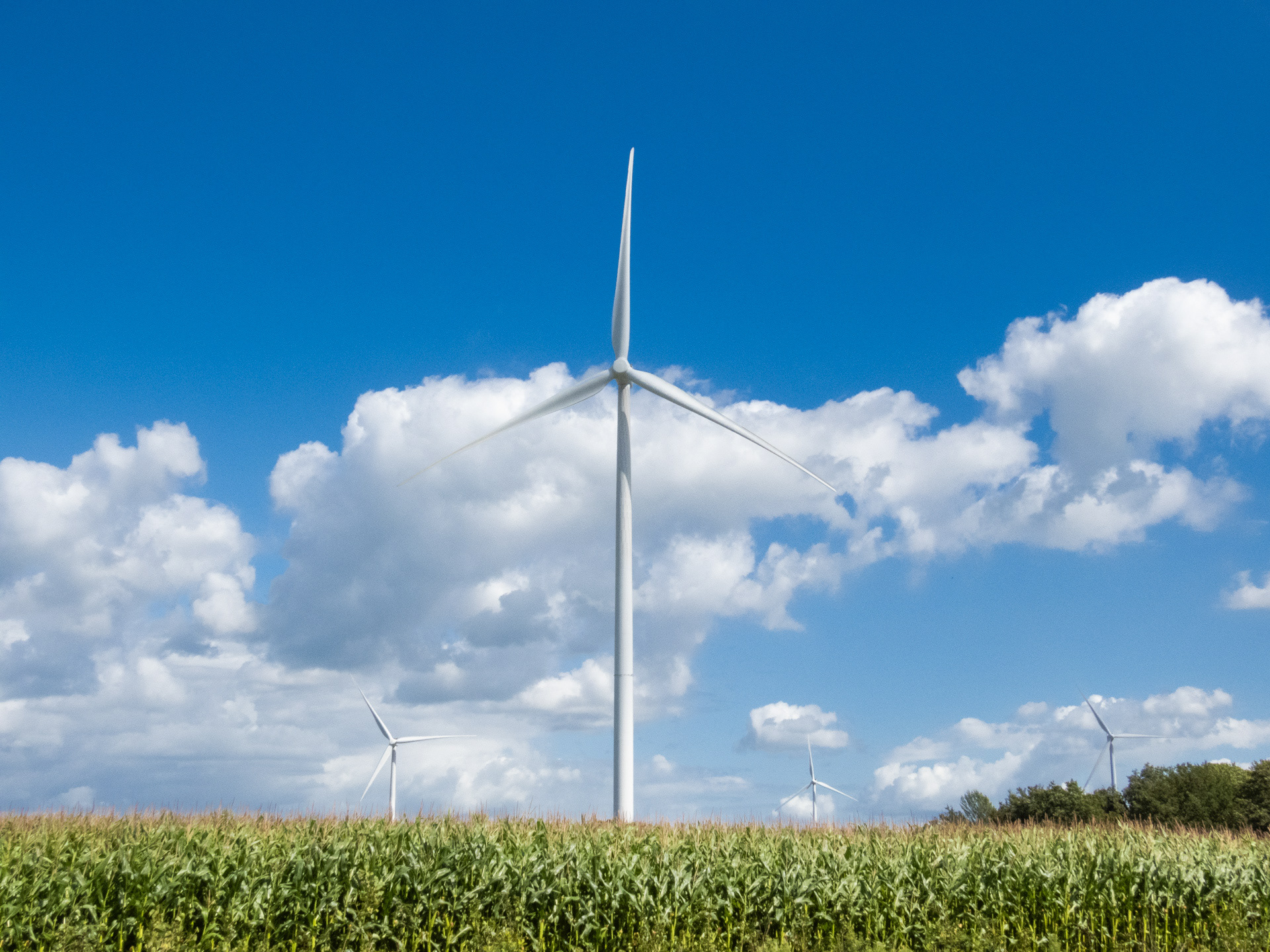 Vele windmolens