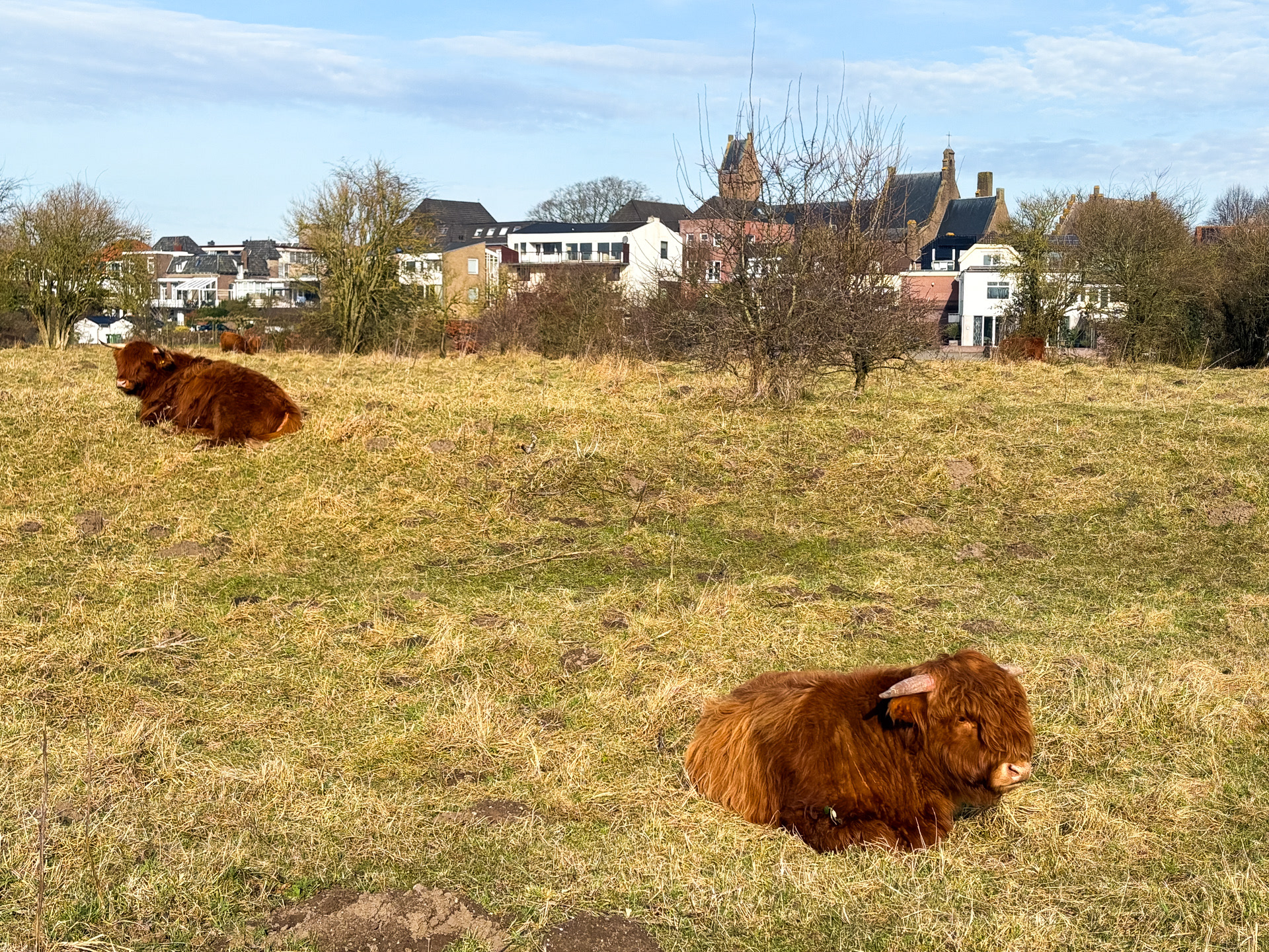 Lobith op de achtergrond