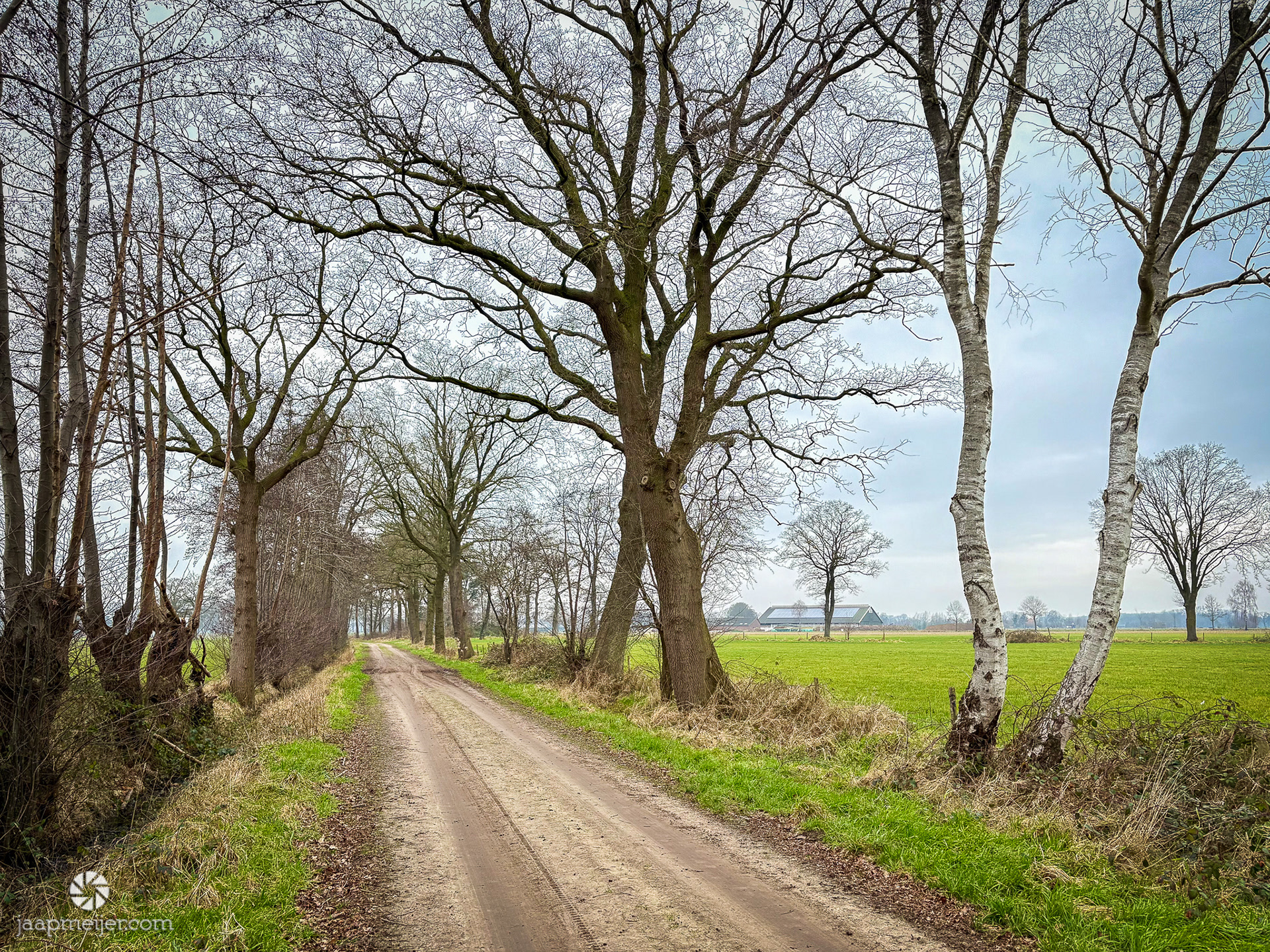 Pas vlak voor finish 1 andere wandelaar