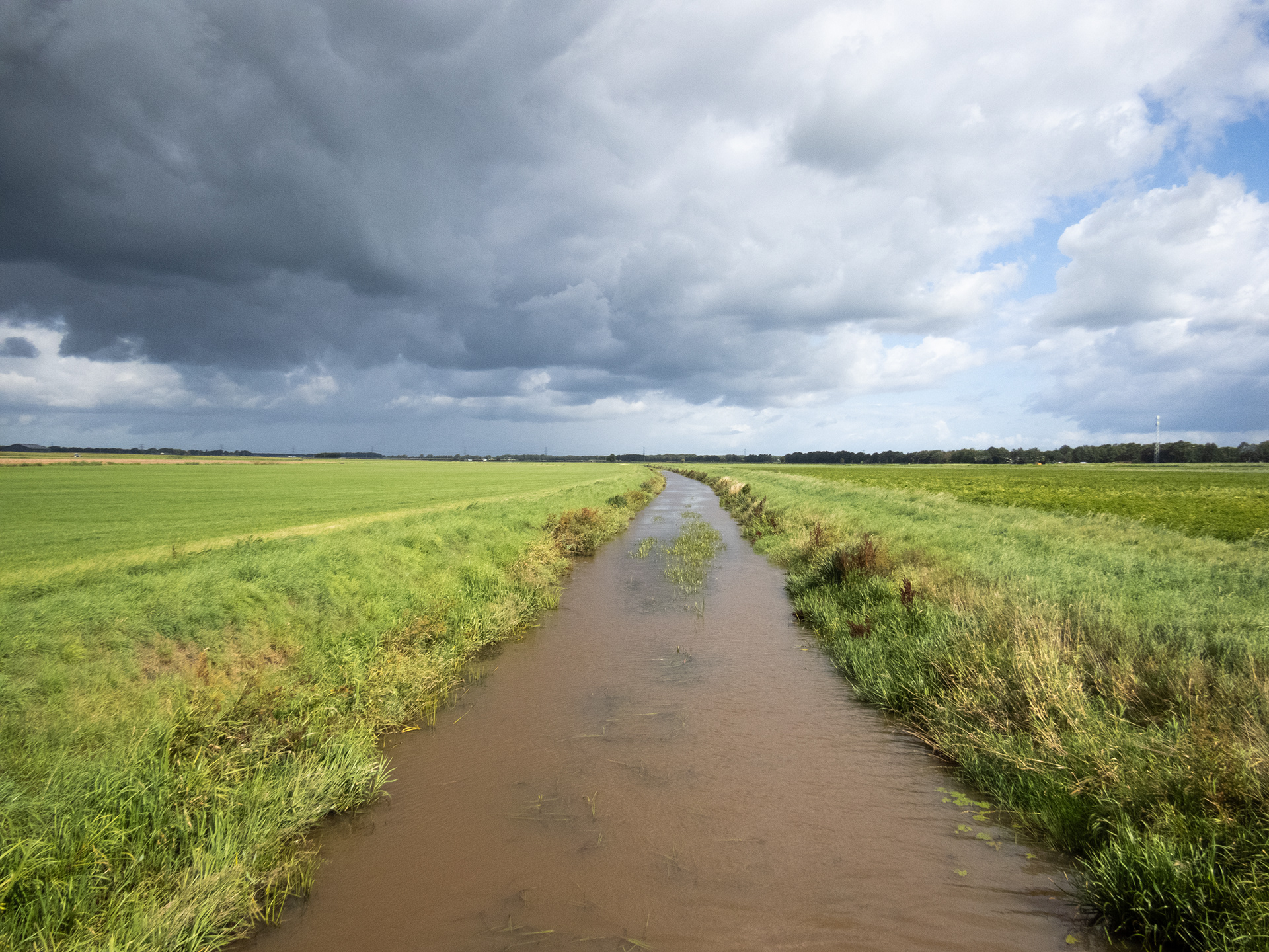 Typisch NL polderlandschap