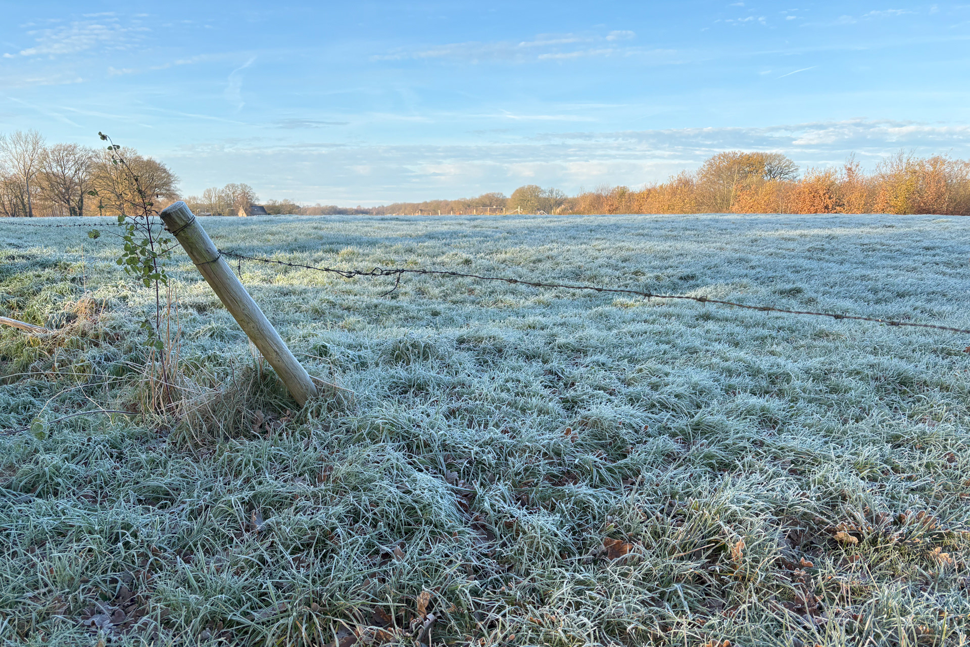 Rond het vriespunt en dus witte velden