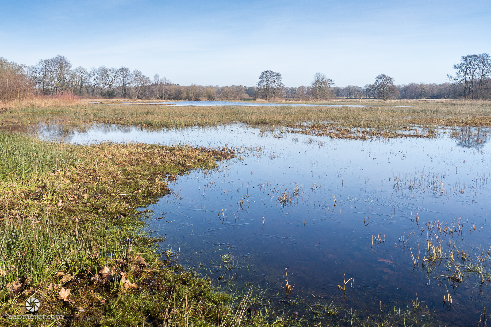 In het voorjaar zal dit water veel vogels aantrekken.