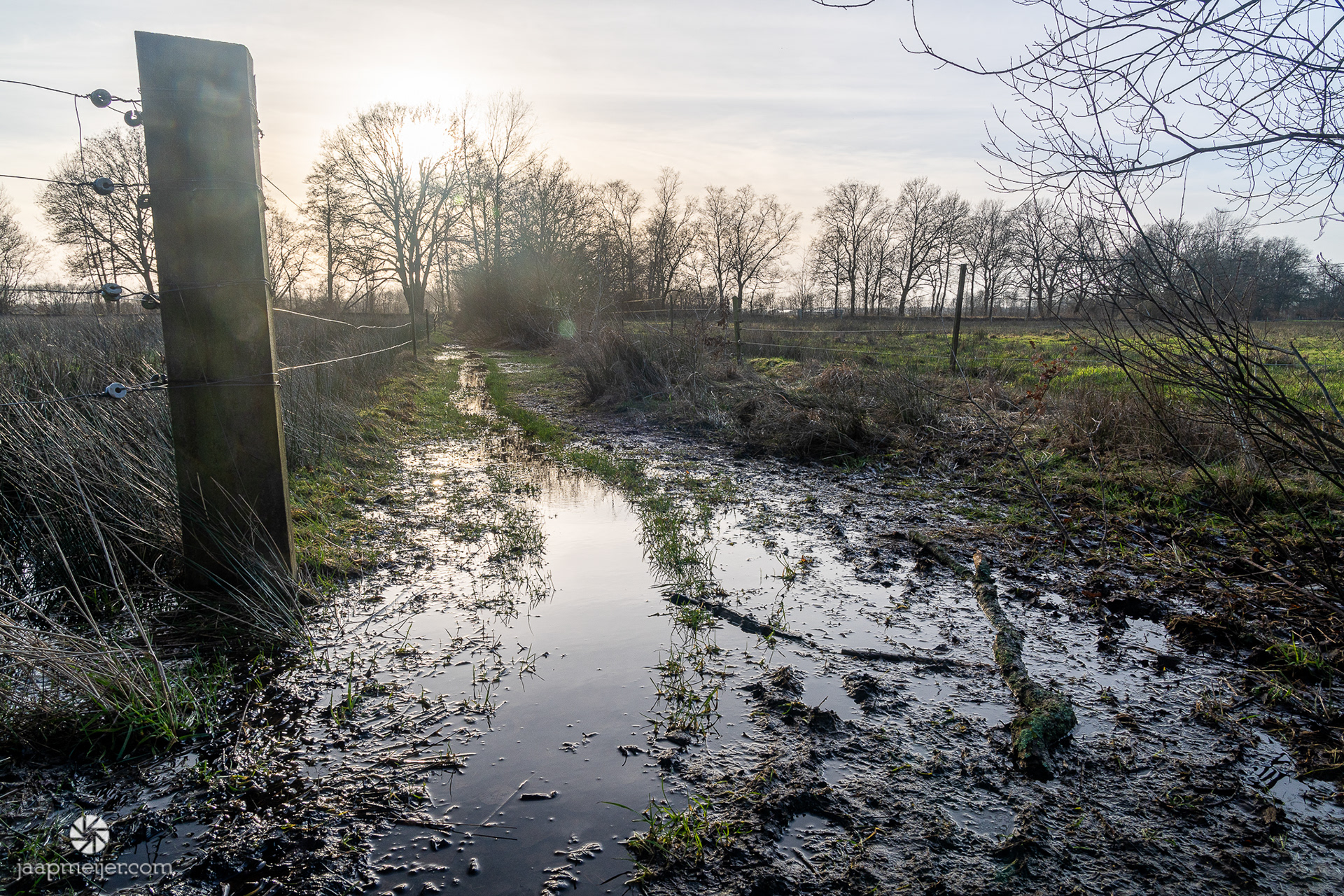 Oei, hier even goed kijken waar je je voet neerzet.