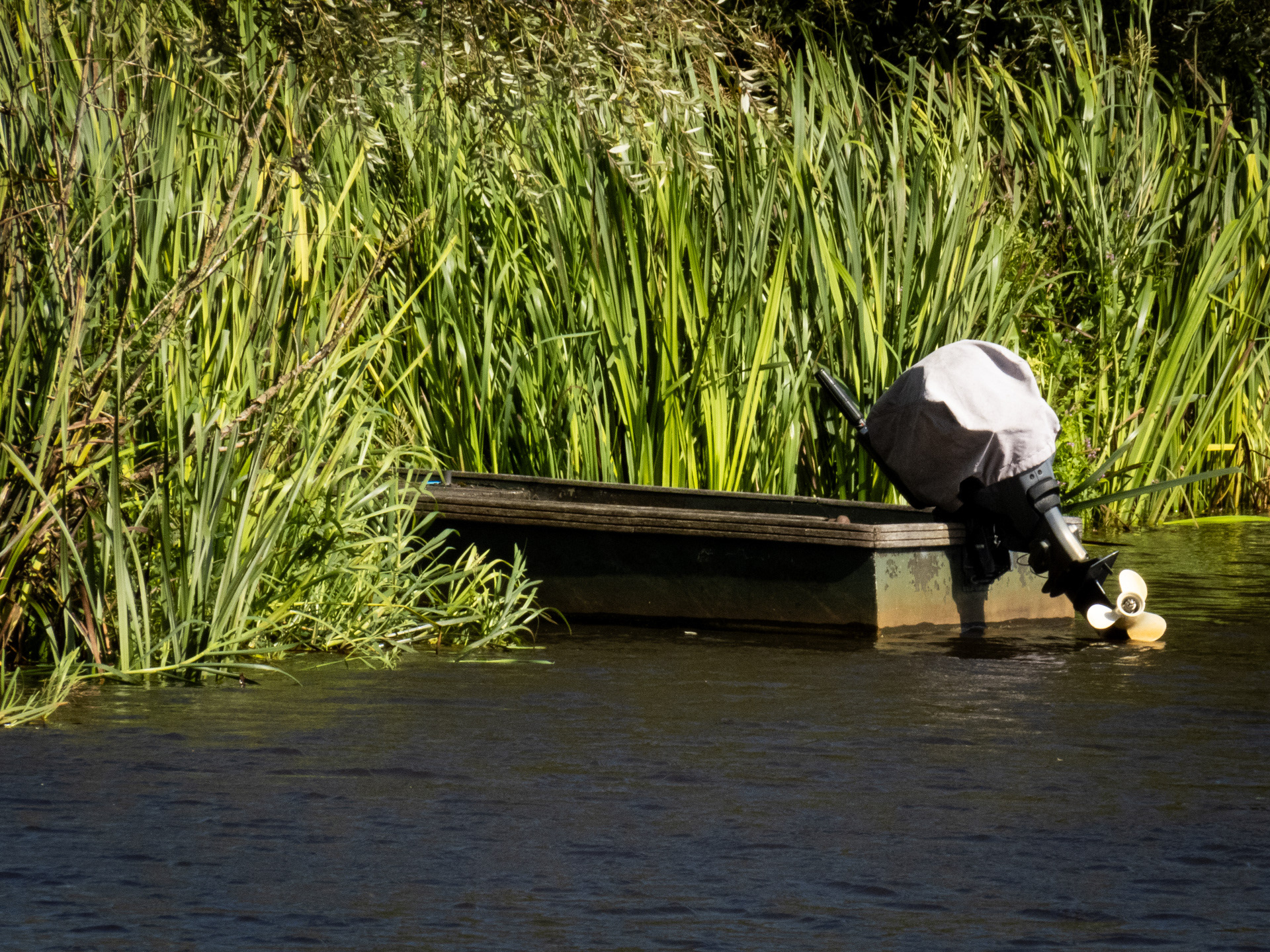 Bootje in het riet.