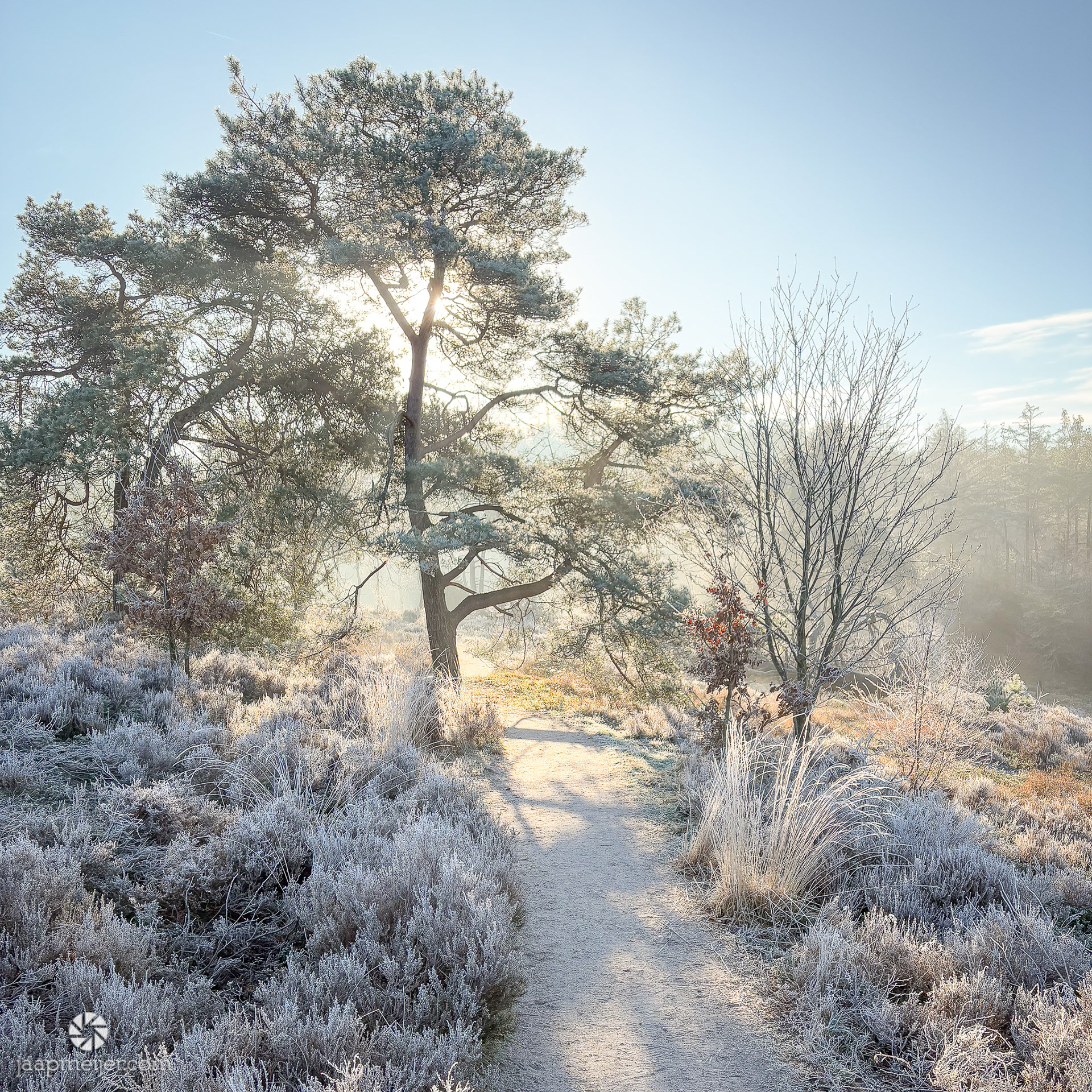 Wat een natuurschoon