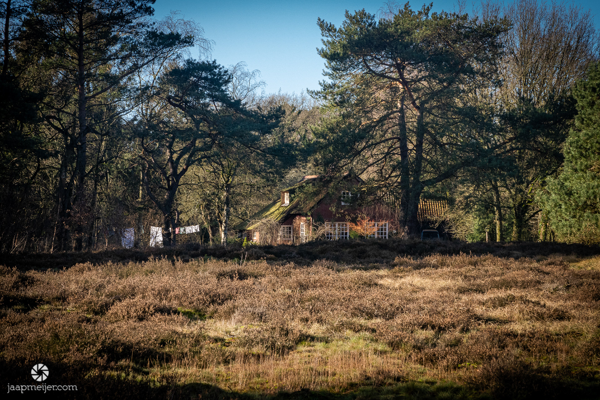Idyllisch huisje in de bosrand.