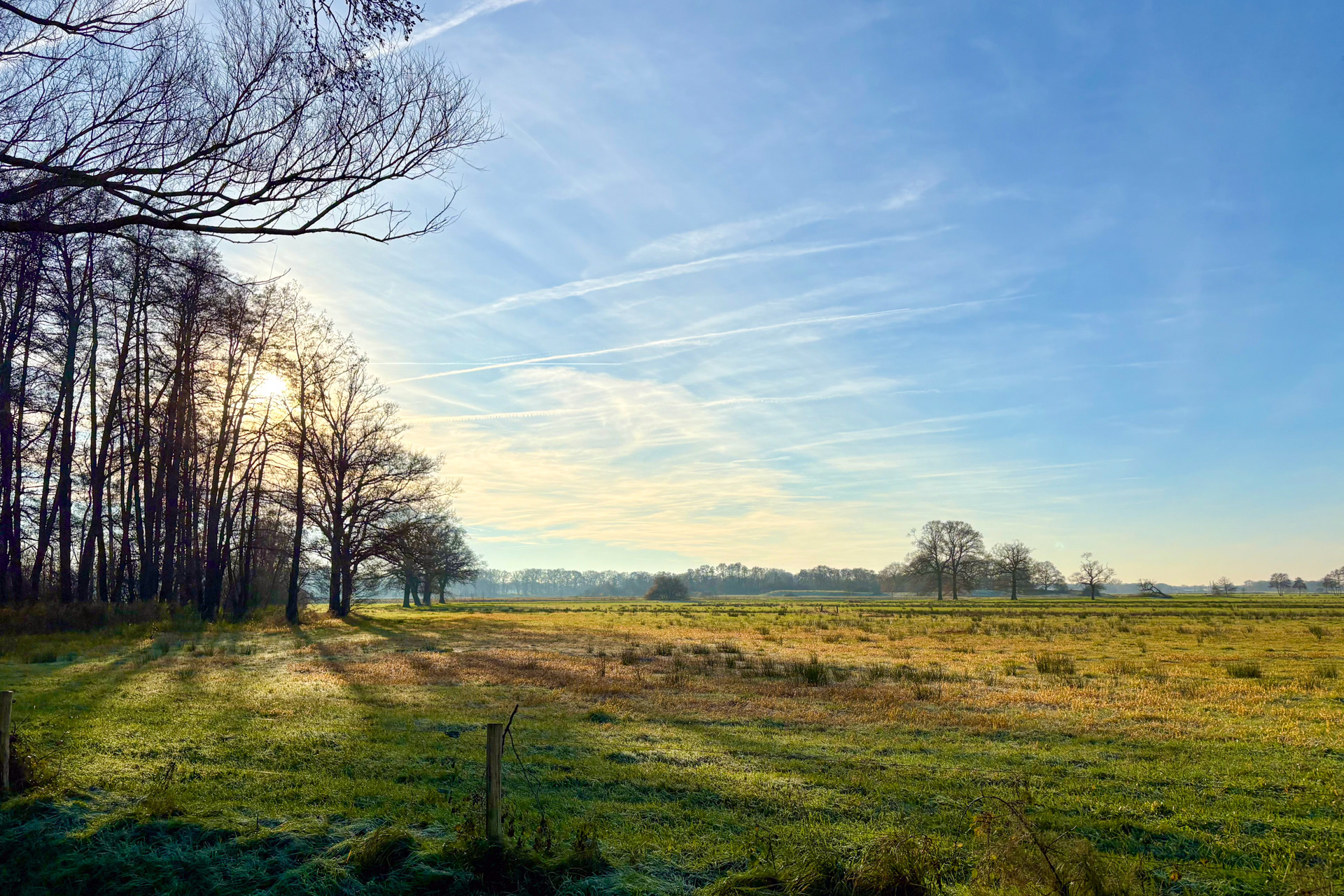 Genieten van de leegte