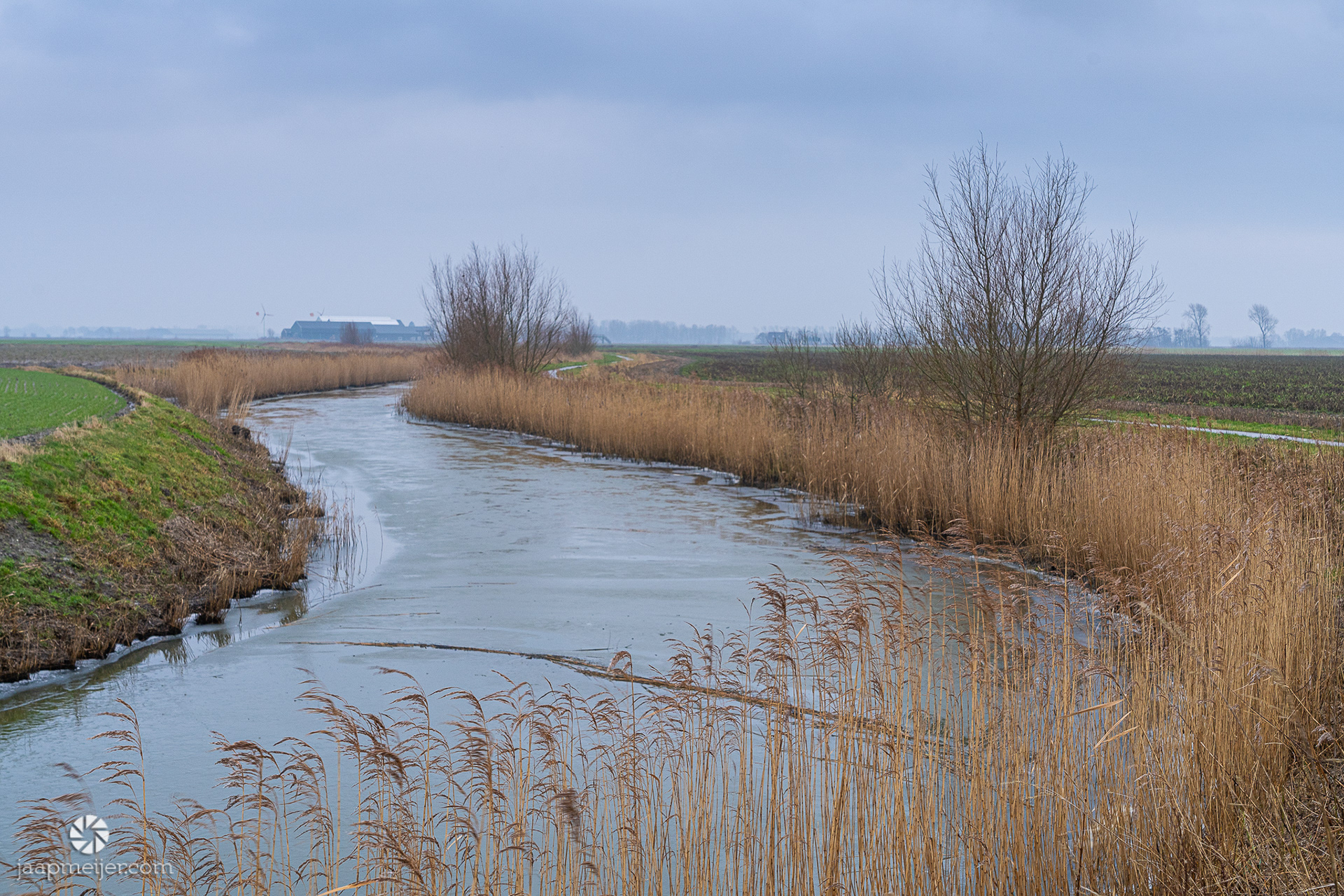 Langs een brede, halfbevroren vaart gaat het zuidwaarts door het Groninger land.