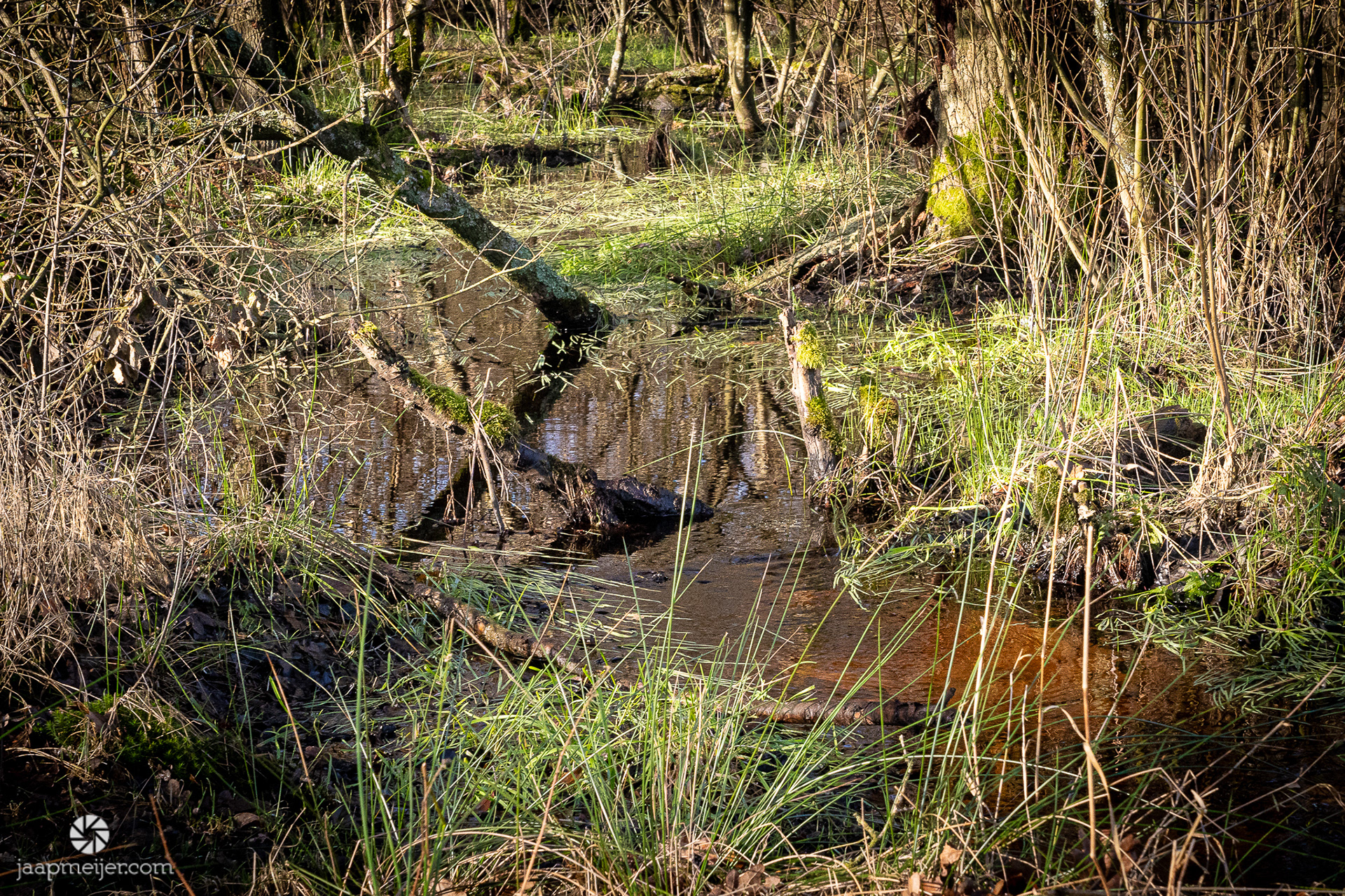 In dit gebied stroomt water overal